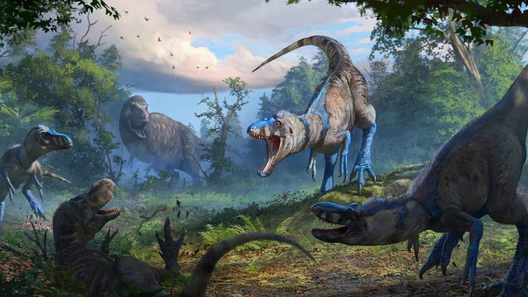 Tyrannosaurus rex bone cross section showing growth rings under polarized light