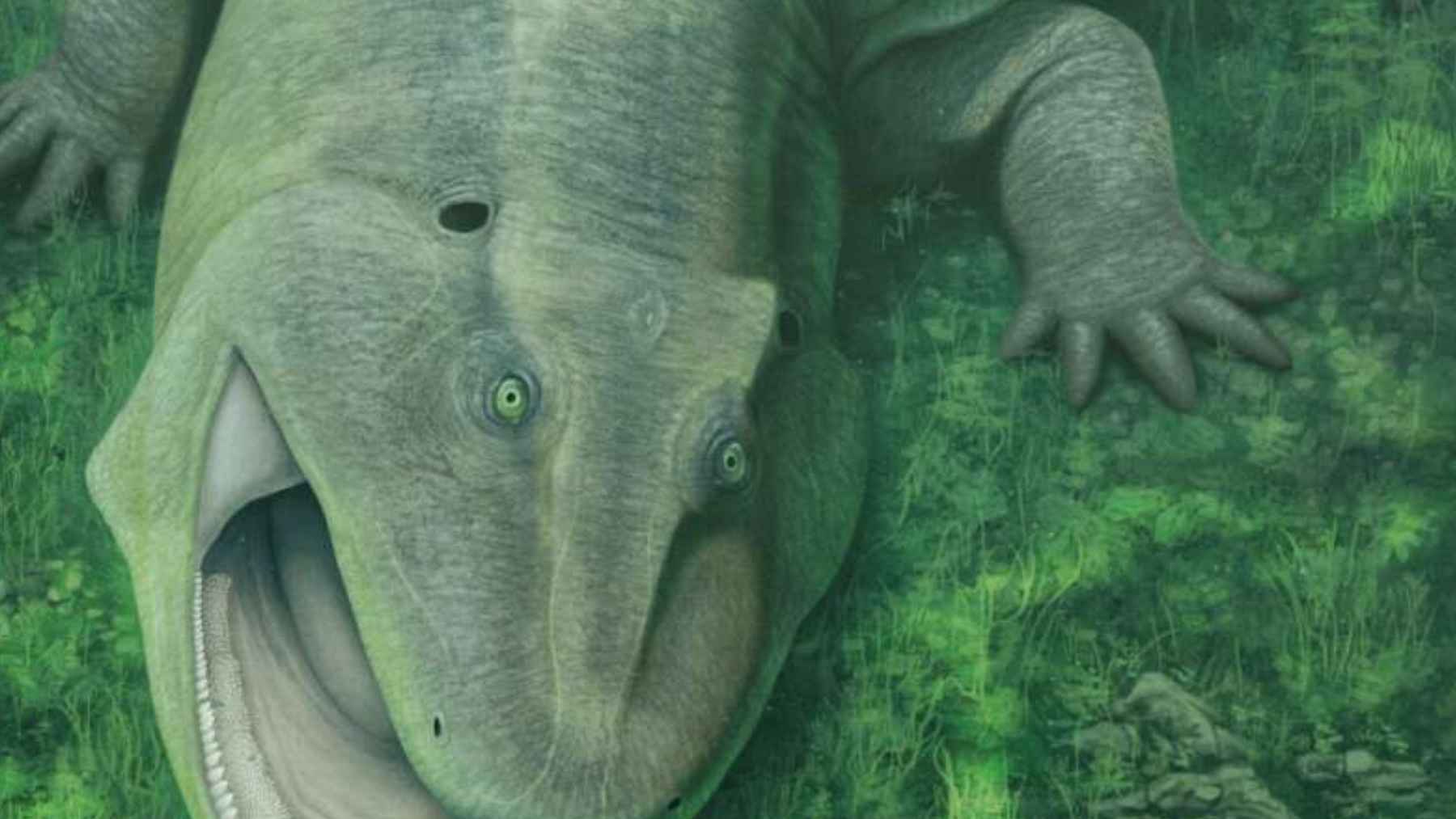 Artist’s reconstruction of Tanyka amnicola, a 275-million-year-old herbivore from Brazil with an unusual jaw and sideways teeth