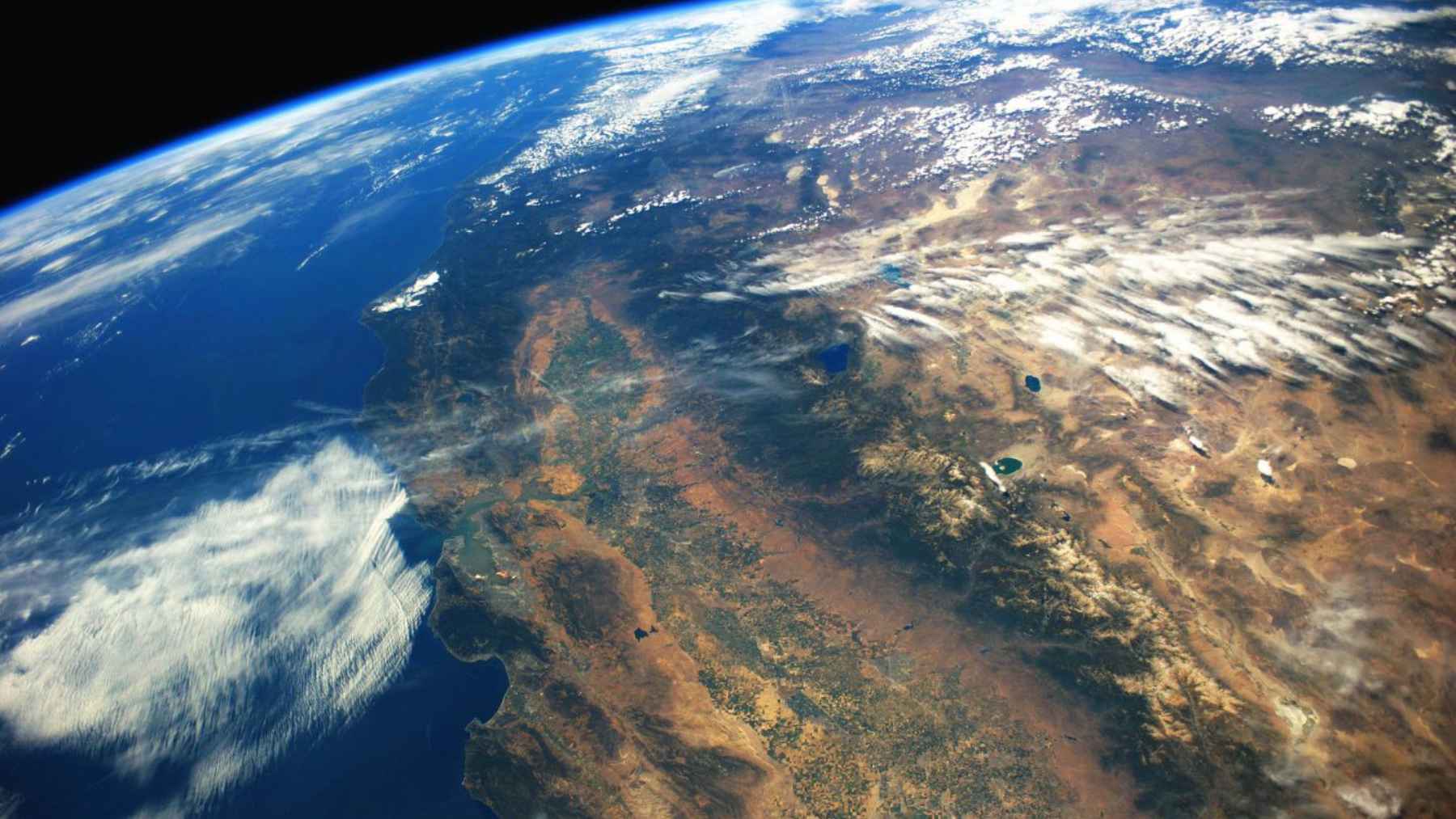 Microscope images of Diplolaimelloides woaabi, the newly identified worm species discovered in Utah’s Great Salt Lake