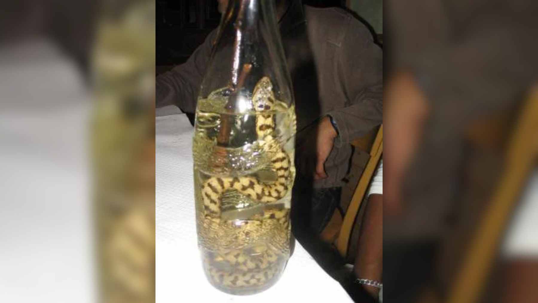 An old, dust-covered bottle of Italian grappa containing a preserved viper snake on a wooden Alpine shelf.