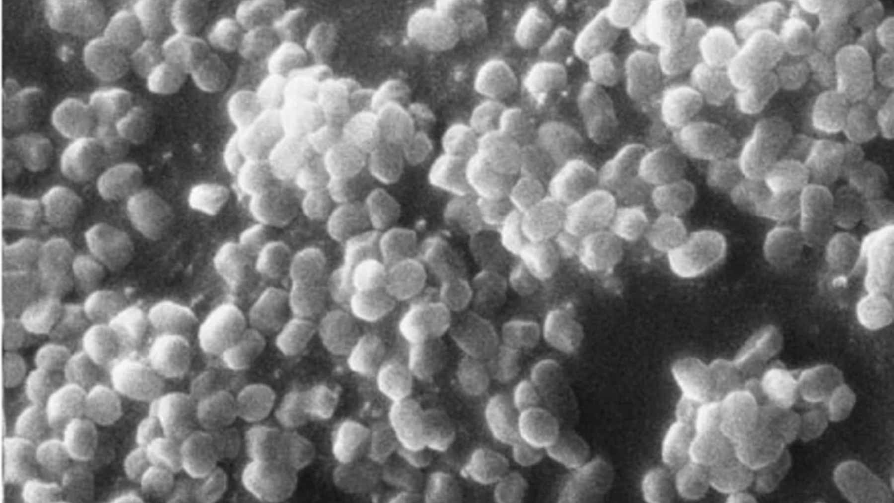 Researchers extracting a vertical ice core sample from the frozen floor of a Romanian cave for microbial analysis.