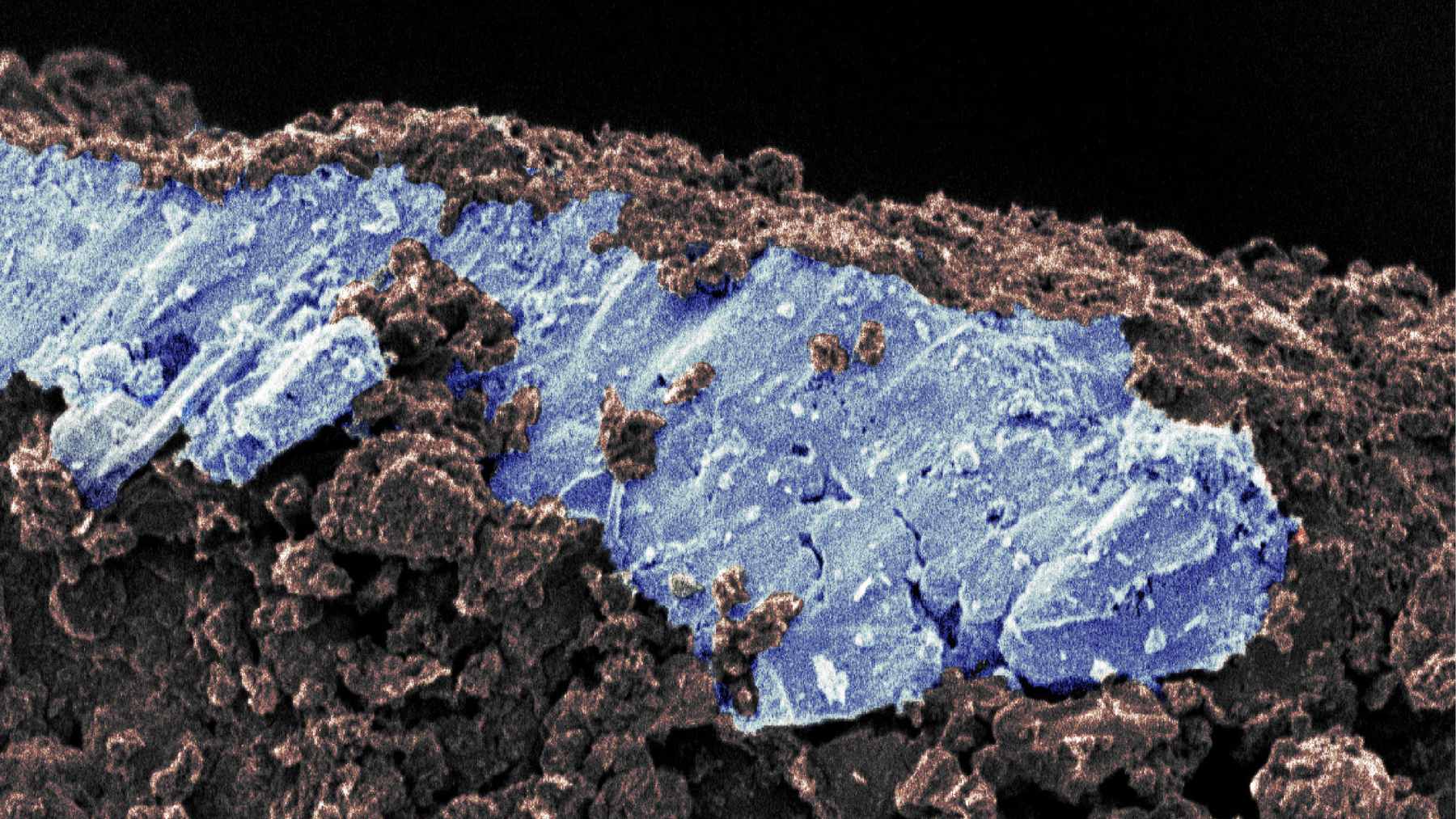 A close-up view of pristine, dark rocky grains collected from the surface of the near-Earth asteroid Ryugu.