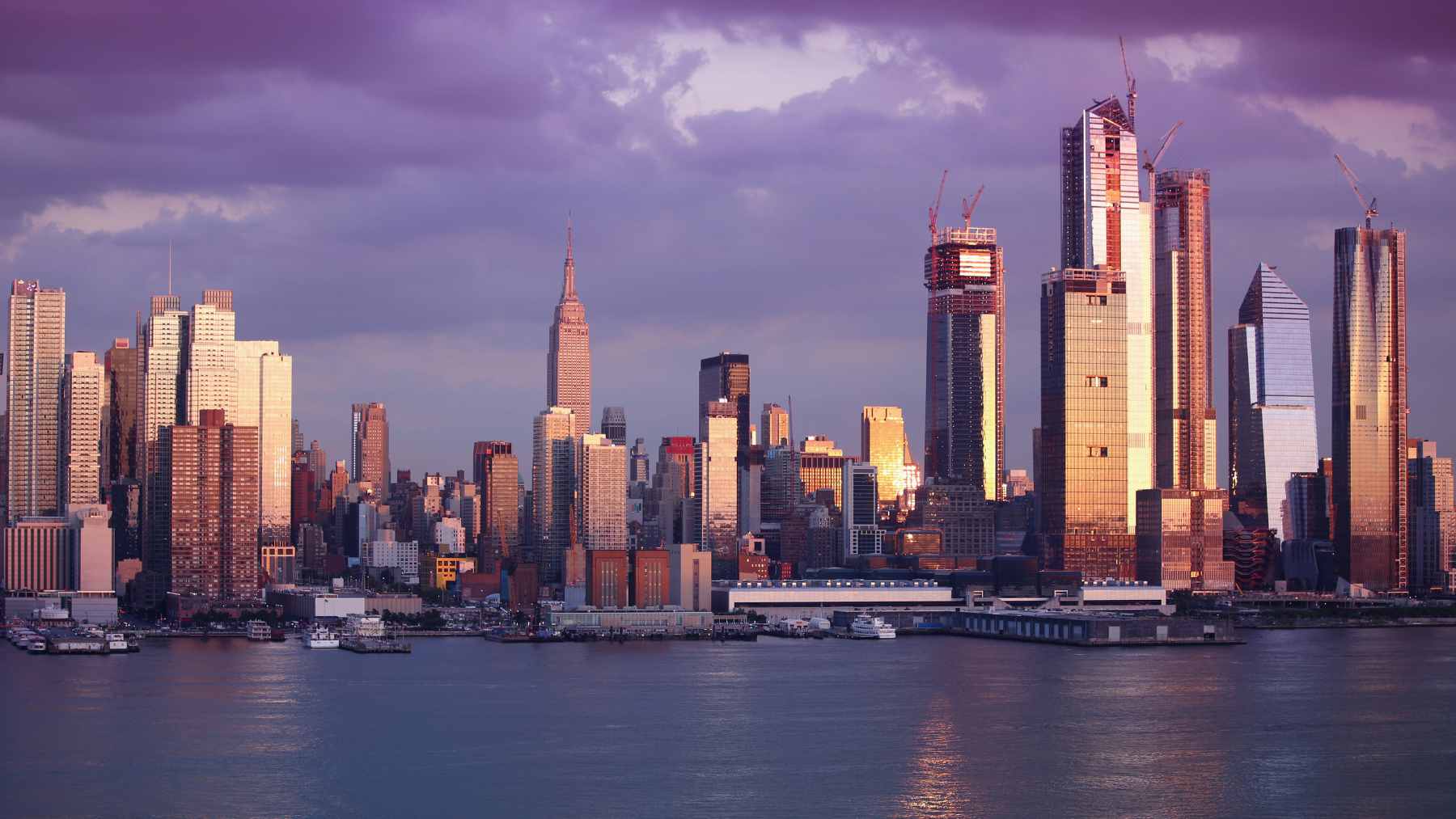 A microscopic visualization of the drug-resistant Candida auris fungus spreading.