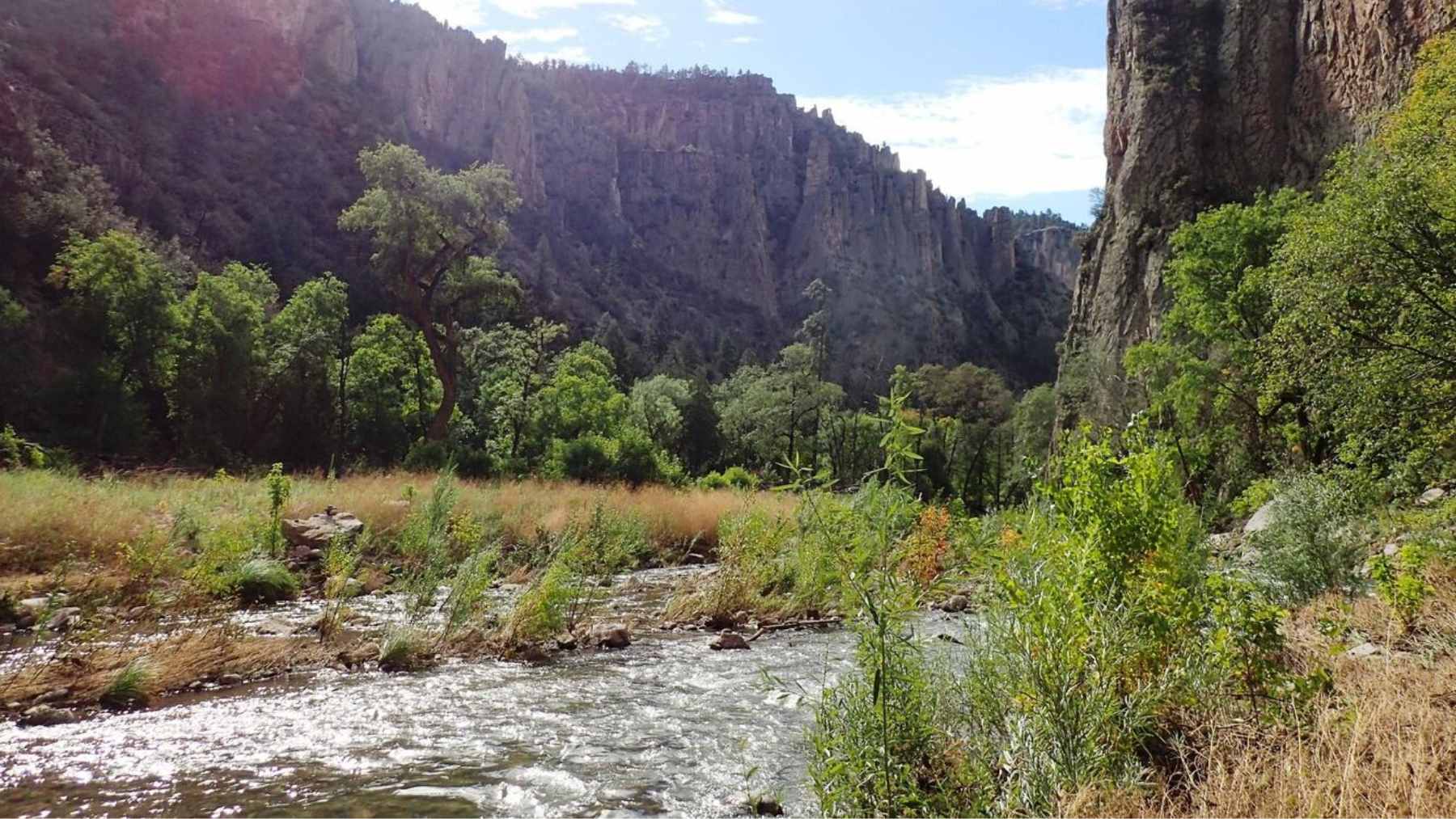 A scenic view of the Colorado River winding through a dry mountain valley, bordered by lush green riparian vegetation.