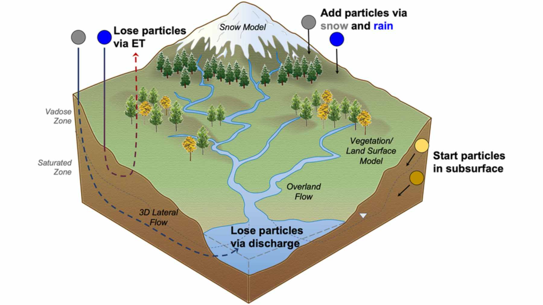 A scenic view of the Colorado River winding through a dry mountain valley, bordered by lush green riparian vegetation.