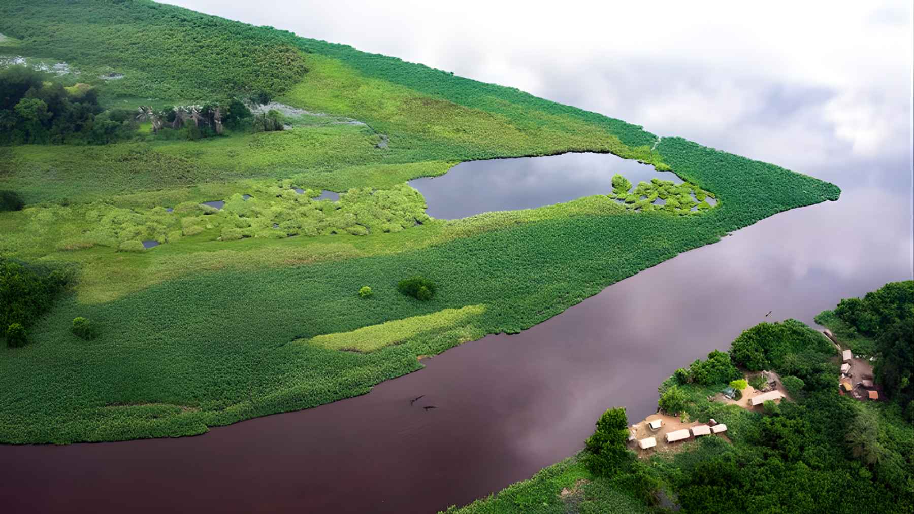 One of Earth’s major carbon sinks may be beginning to release carbon that has been stored for thousands of years, and signs of this are already appearing in two dark lakes in the Congo 1 Aerial view of a dark lake and blackwater channel surrounded by vegetation in the Congo Basin