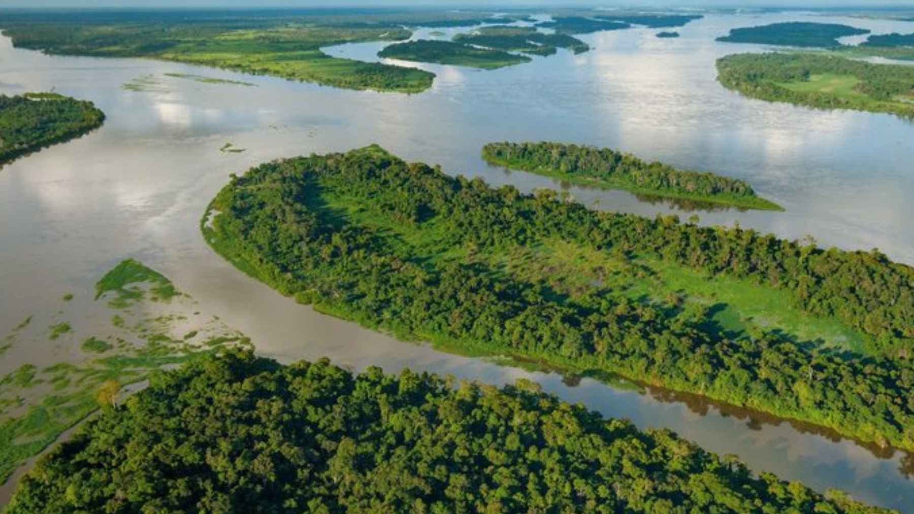 Vista aérea de un lago de aguas negras rodeado por selva en la cuenca del Congo, donde científicos detectaron carbono antiguo de turba