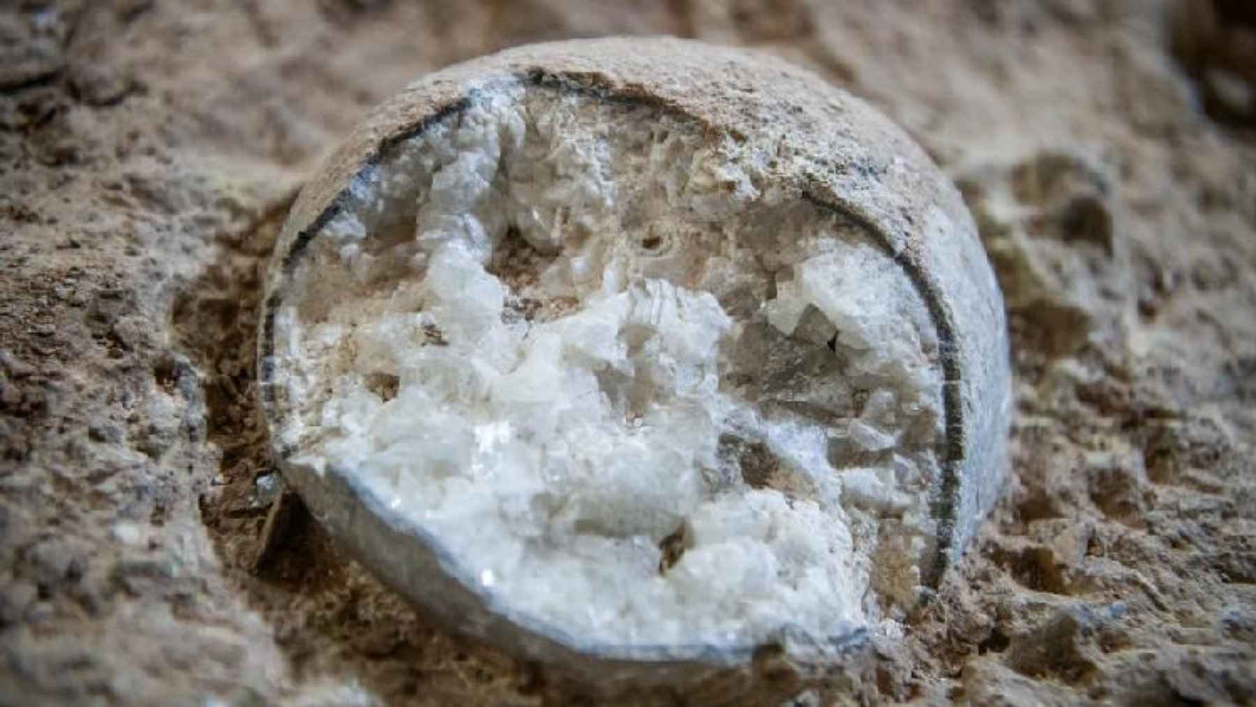 Close-up of a crystallized dinosaur egg fossil from Qinglongshan in central China, part of a study dating the site to around 85 million years ago.