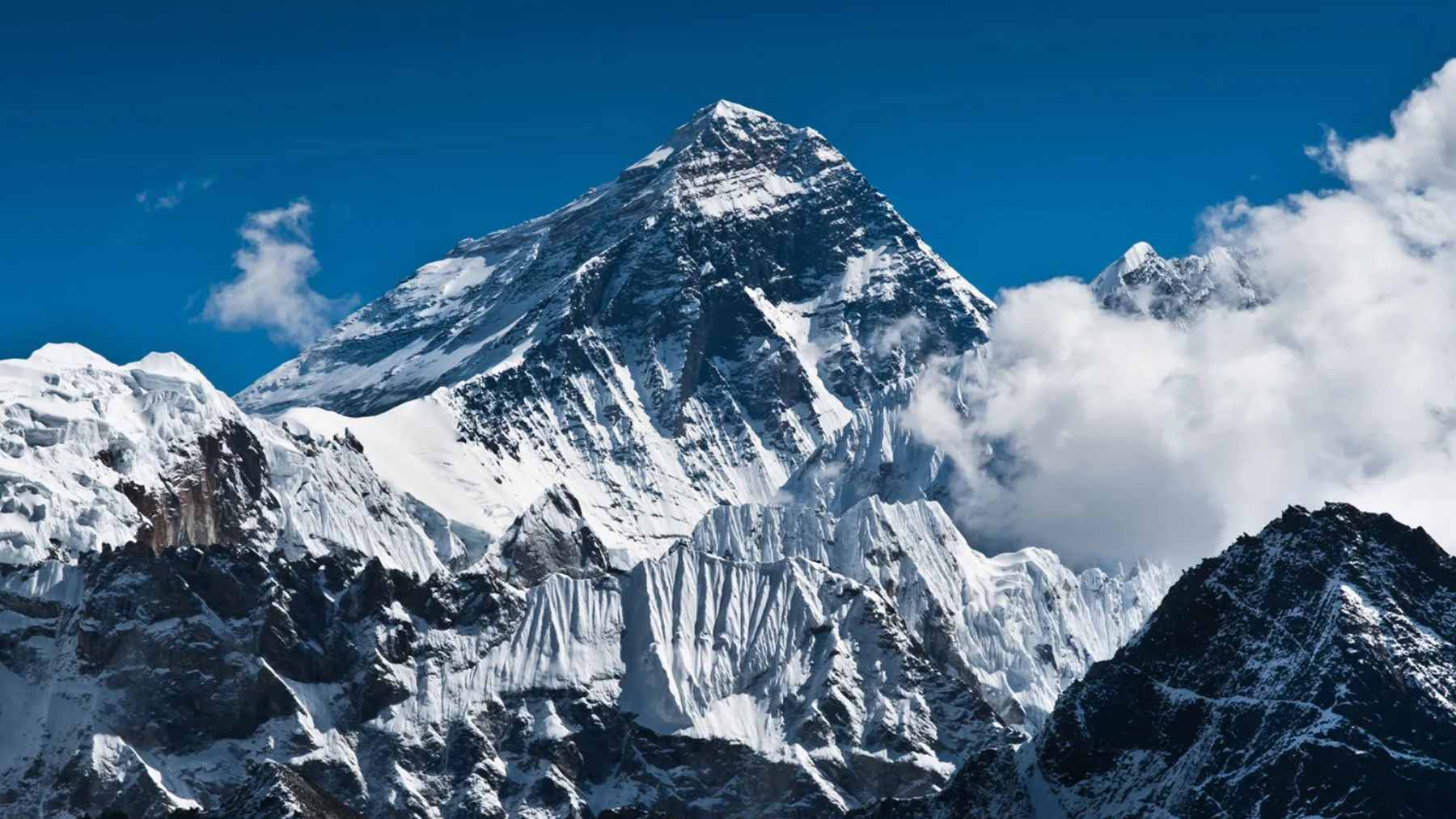 A 3D digital model showing the Earth's interior layers, revealing massive geological structures deep within the mantle.