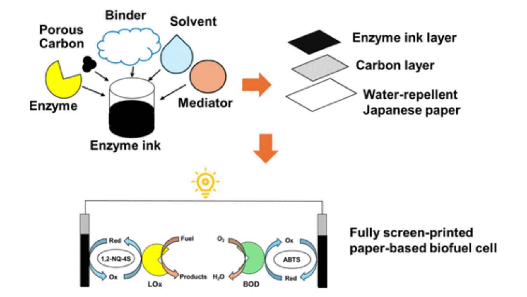 Diagram showing enzyme ink components and structure of a paper-based biofuel cell that generates electricity from sweat