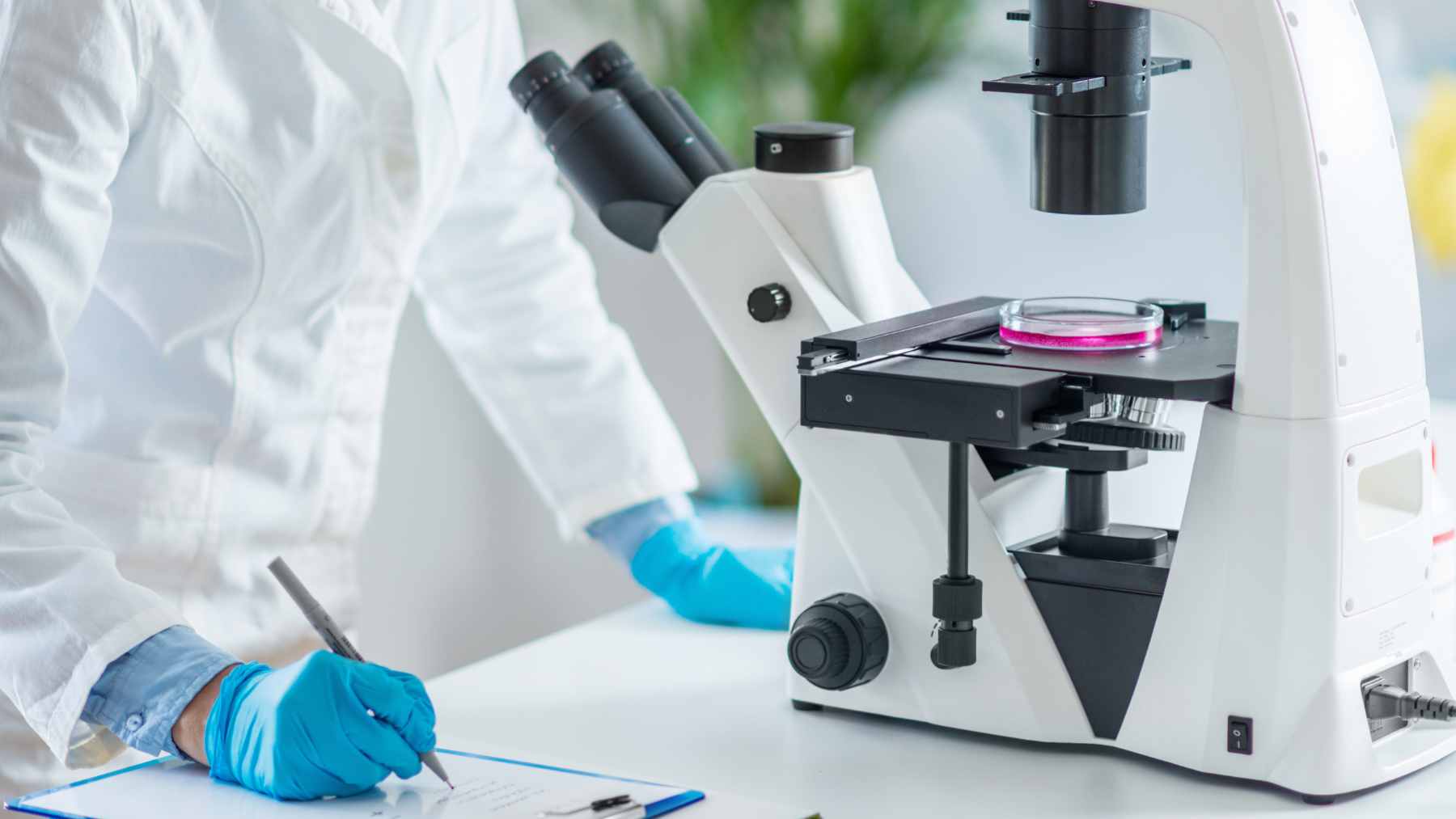 An archaeological excavation of a medieval Golden Horde mausoleum in Kazakhstan where elite Mongol DNA was recently discovered.