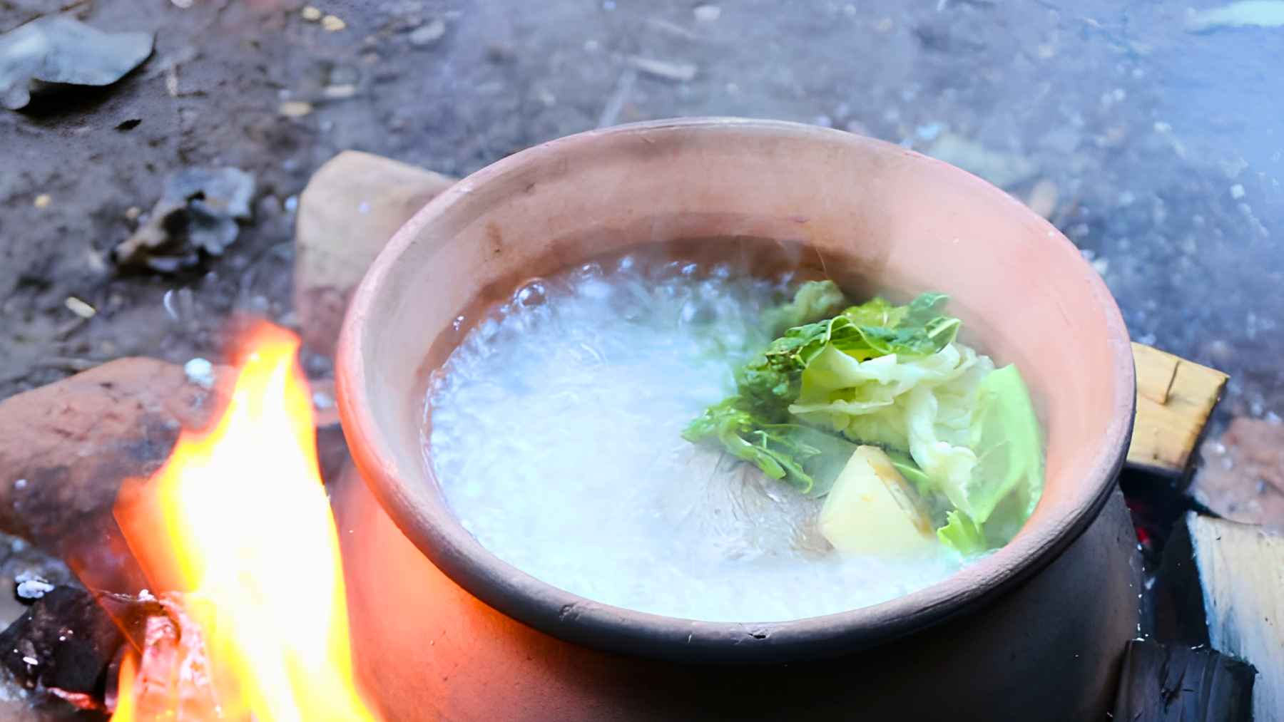 Clay pot over an open fire boiling food with leafy plants, illustrating prehistoric hunter-gatherer cooking methods