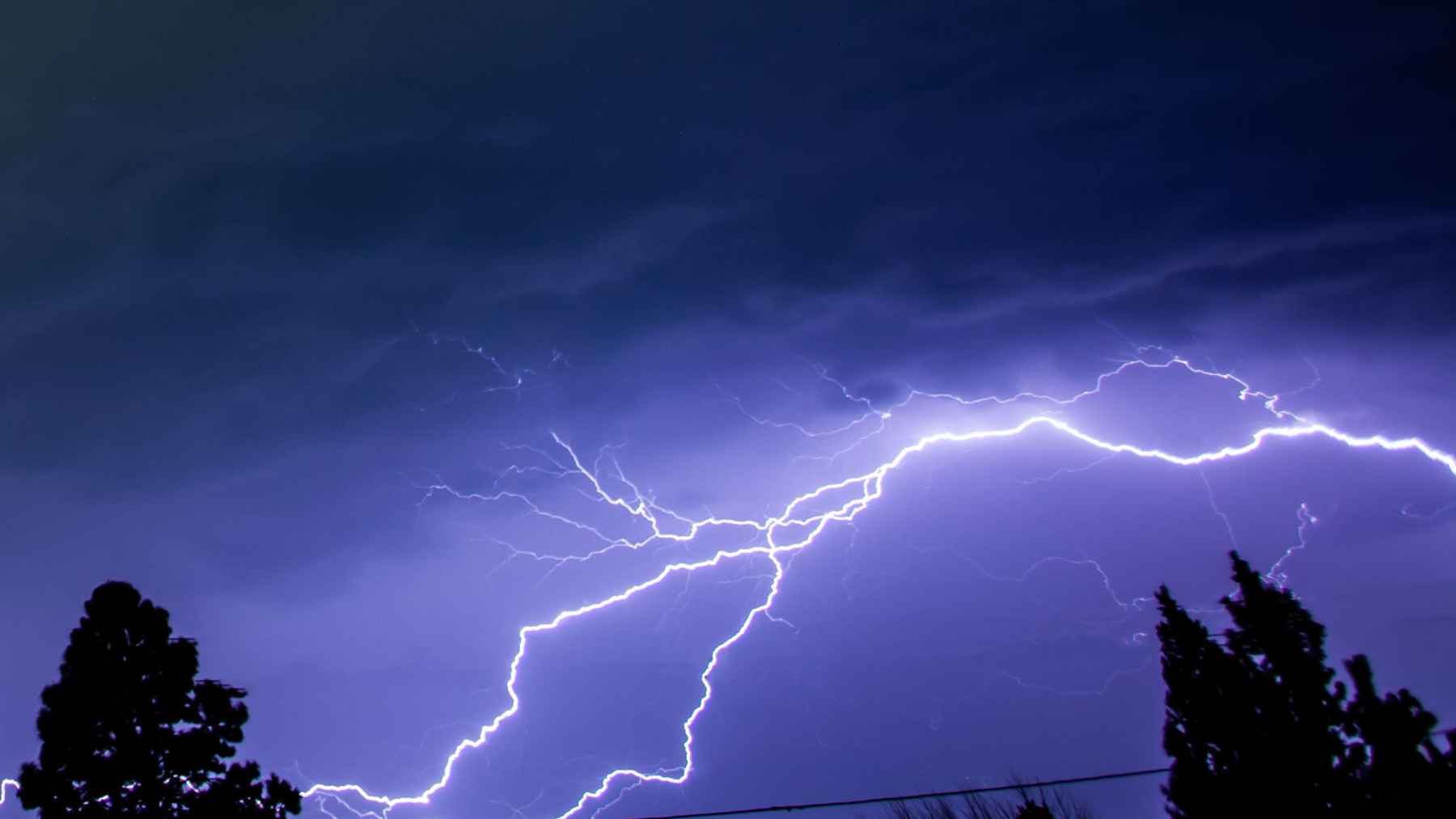 Lightning flashes over trees during a thunderstorm, illustrating research on ultraviolet corona discharges in forest canopies