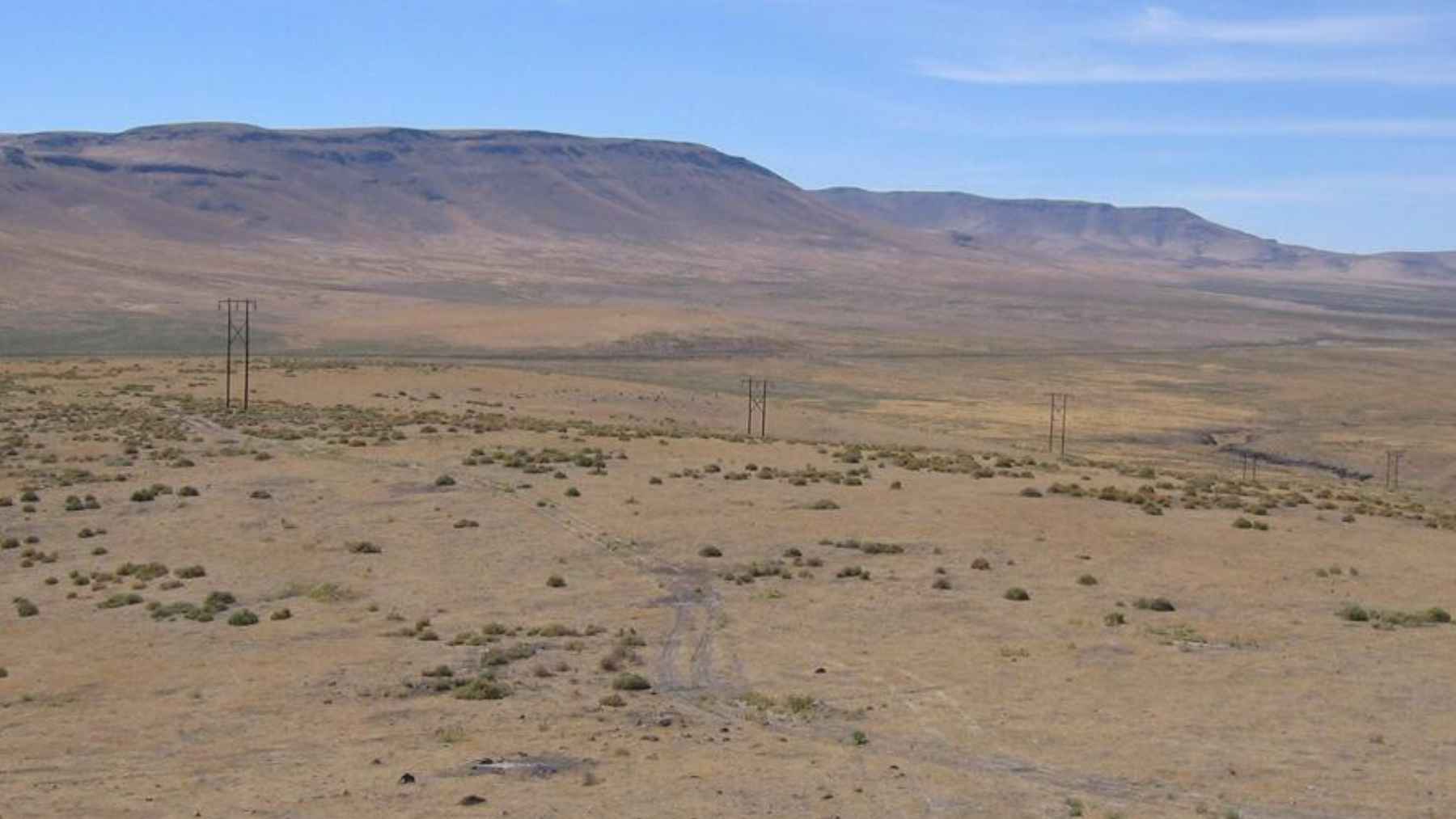 A humanoid robot prototype standing in a neutral pose, symbolizing advanced technology and future energy demand