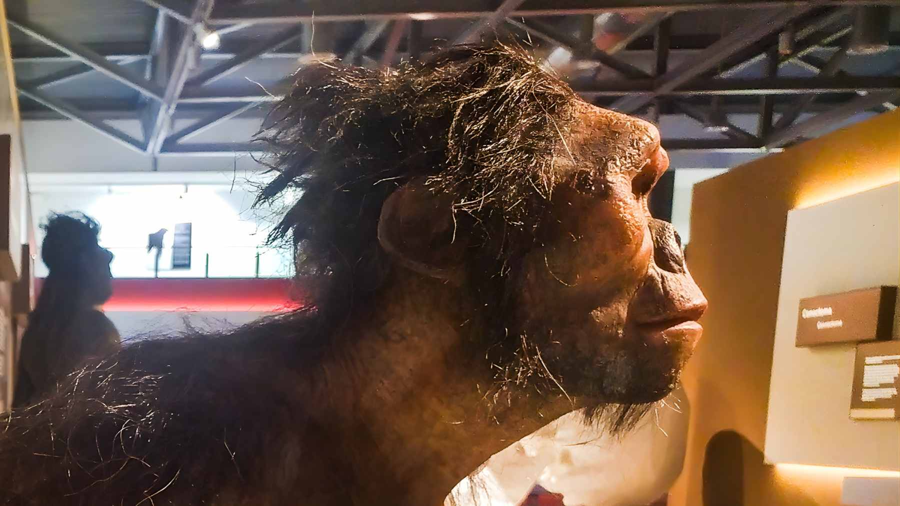 A digital recreation of a Neanderthal and a modern human standing side-by-side, representing the genetic blending of the two lineages.