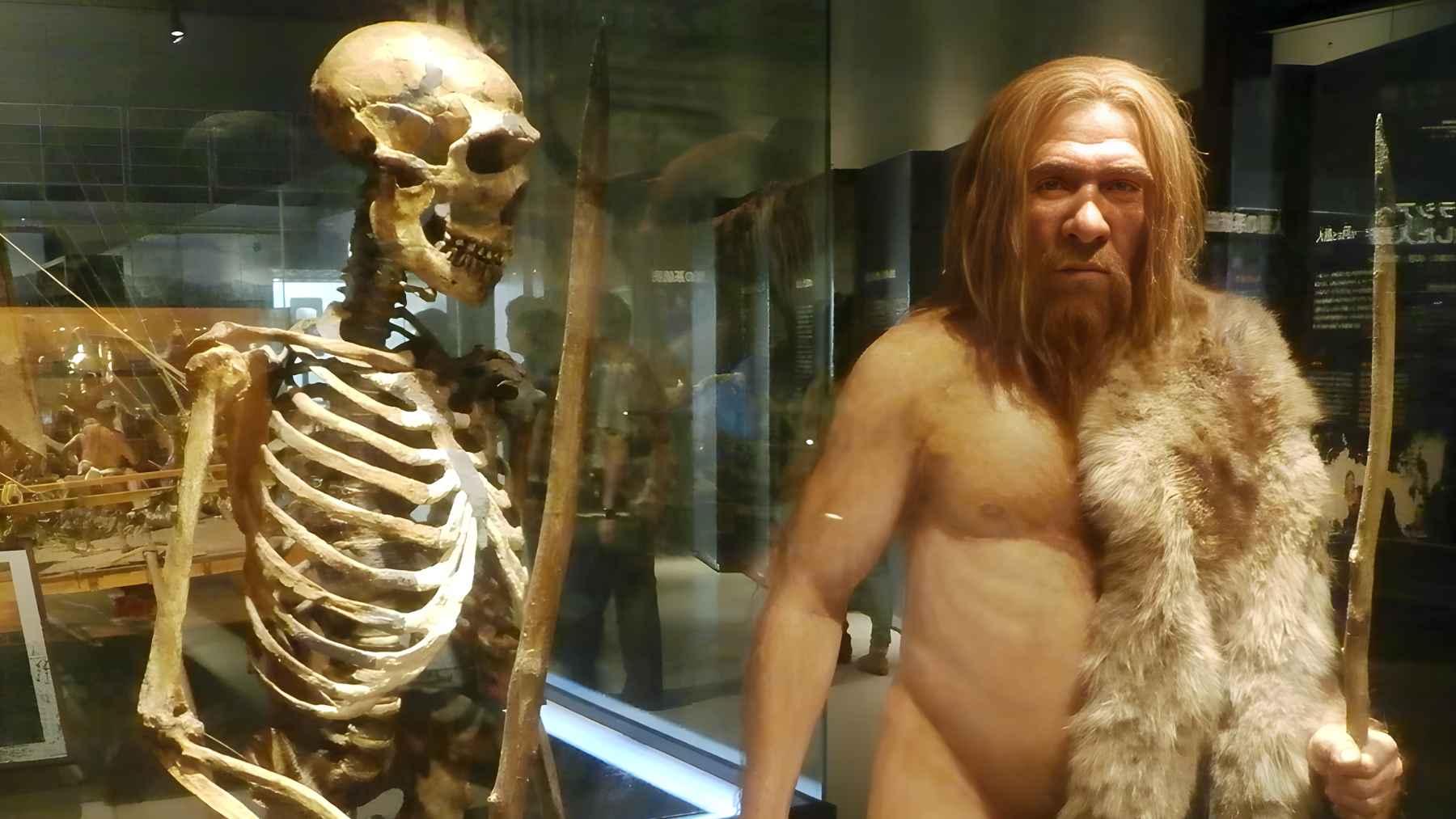 llustration of Neanderthal and Homo sapiens individuals representing interbreeding patterns revealed by X chromosome DNA analysis