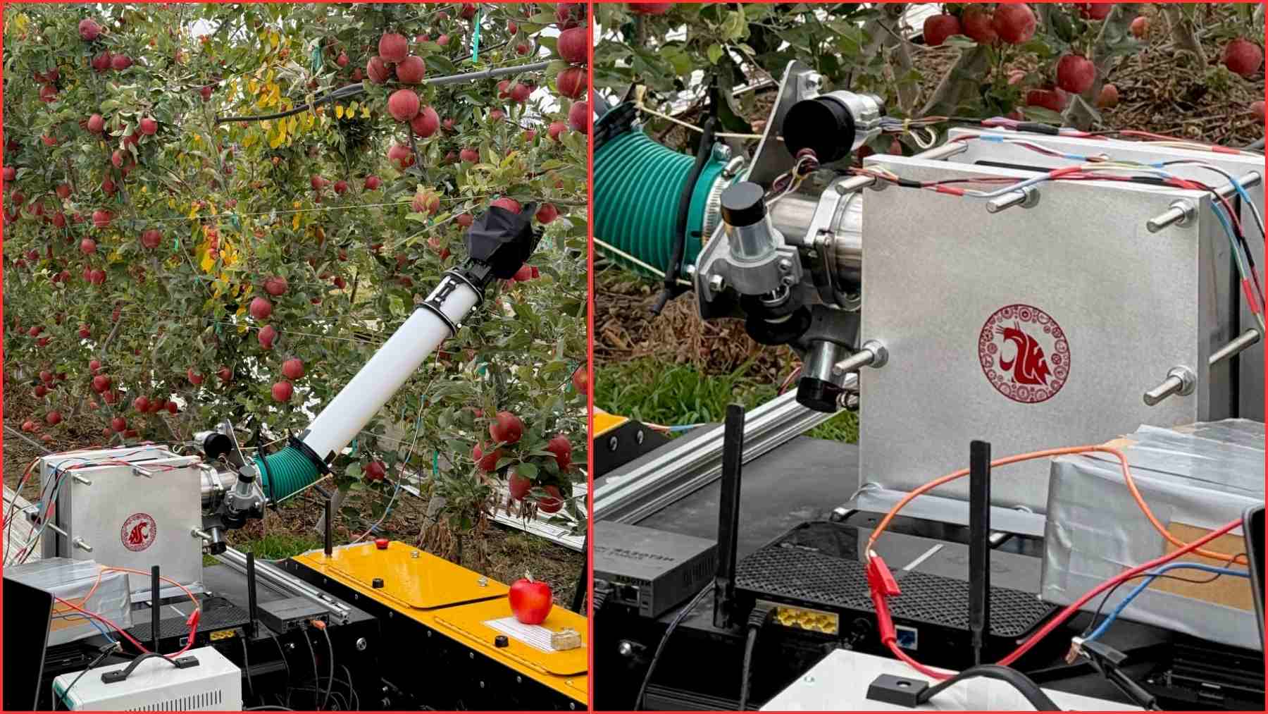 WSU robotic fruit harvesting prototype in an apple orchard using a soft inflatable arm to pick apples