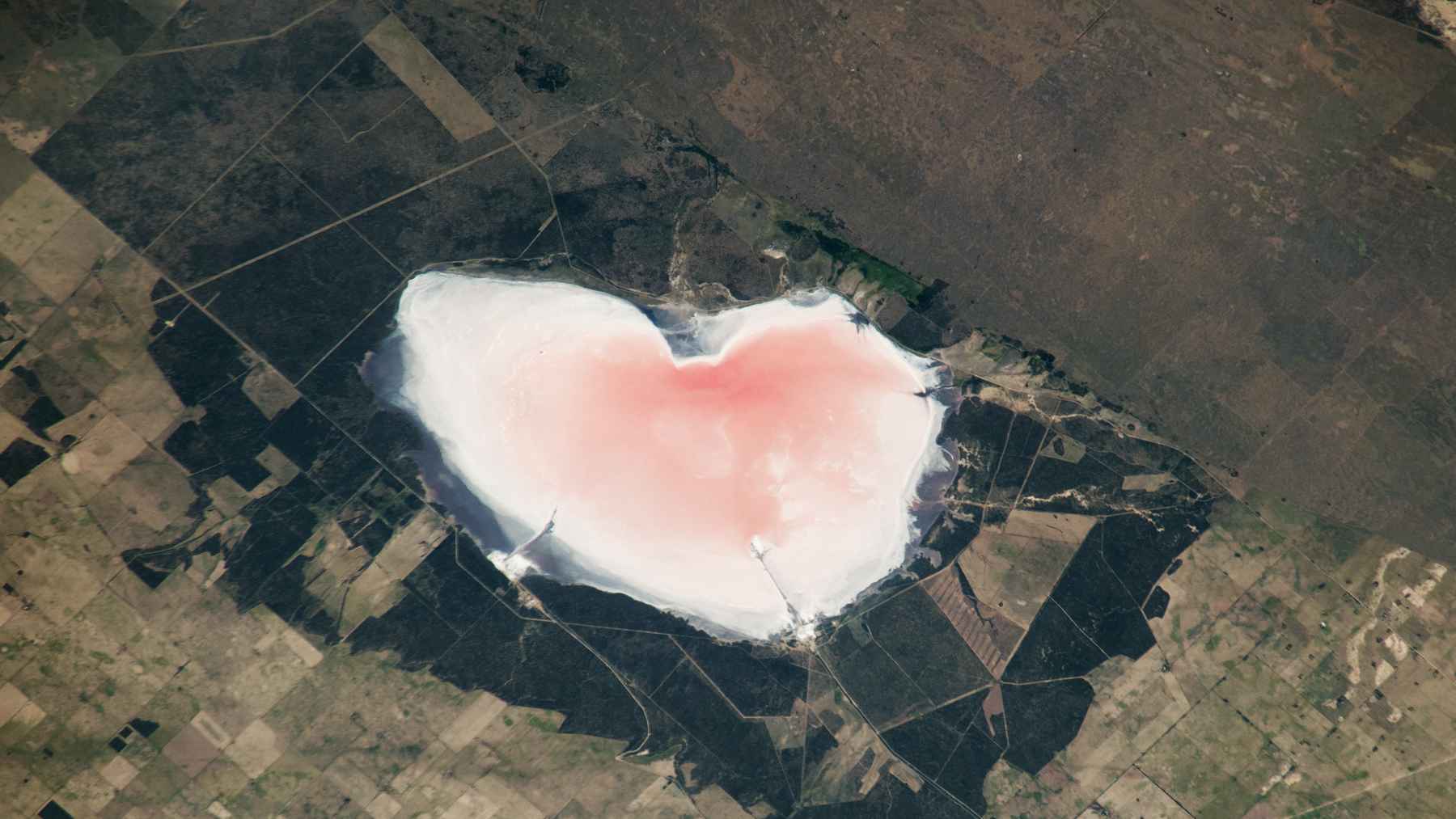 Astronaut photo of Salinas Las Barrancas in Argentina, a heart-shaped pink salt lake seen from the International Space Station