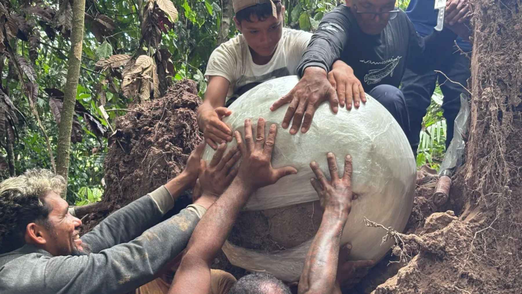 Archaeologists find ceramic urns hidden under a fallen tree in the Amazon, and the unlikely hiding place hints at human stories the forest kept for centuries 1 Local team and researchers lifting a large ceramic burial urn from the ground in the Amazon rainforest.