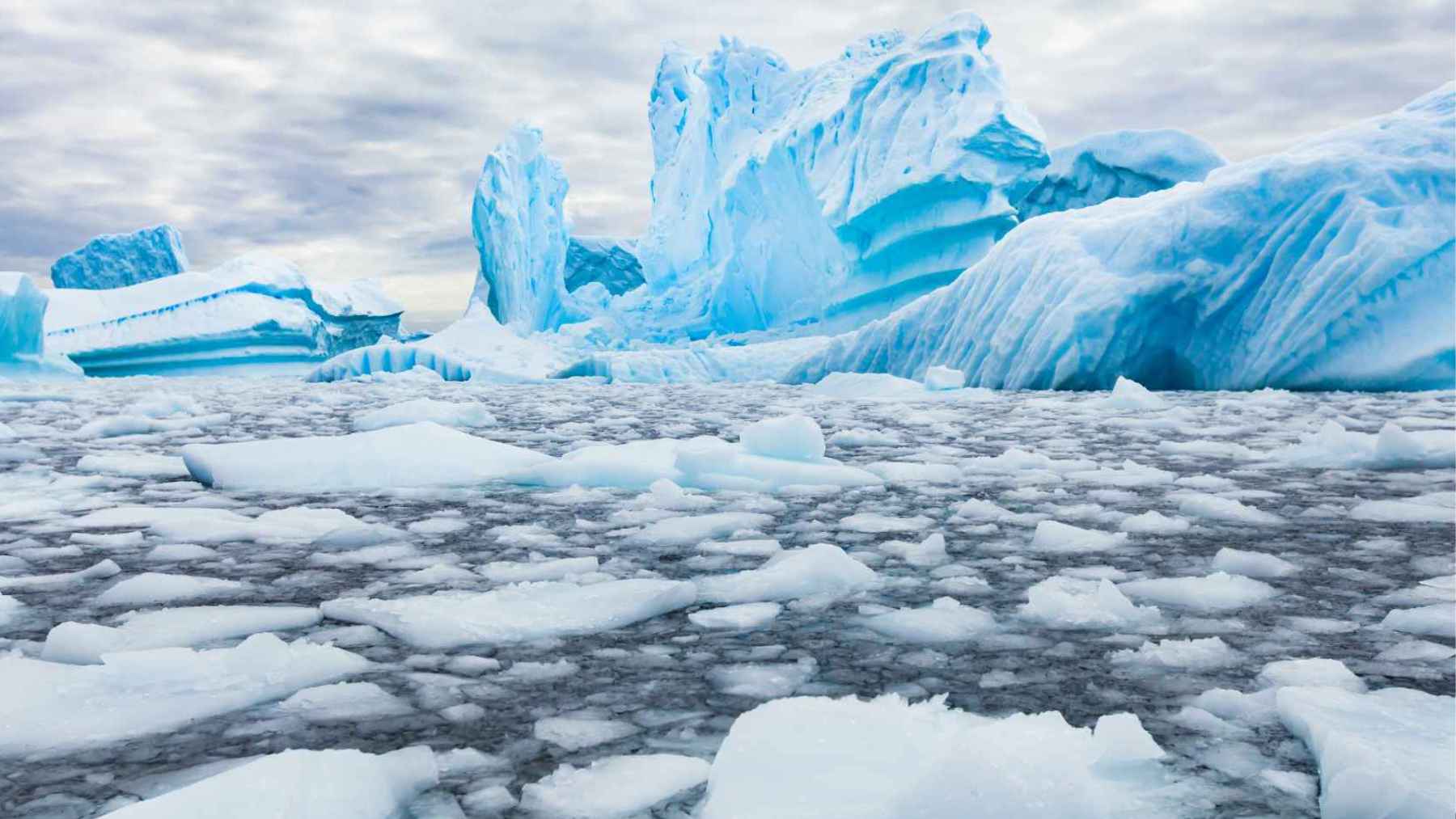Arctic ice melt is reshaping the polar vortex, and researchers warn the shift in this cold-air “wall” could redraw the map of extreme weather worldwide 1 A satellite view of Arctic sea ice shows the bright polar ice cover surrounded by darker ocean water, illustrating why shrinking ice can affect heat absorption, atmospheric circulation, and extreme weather risks.