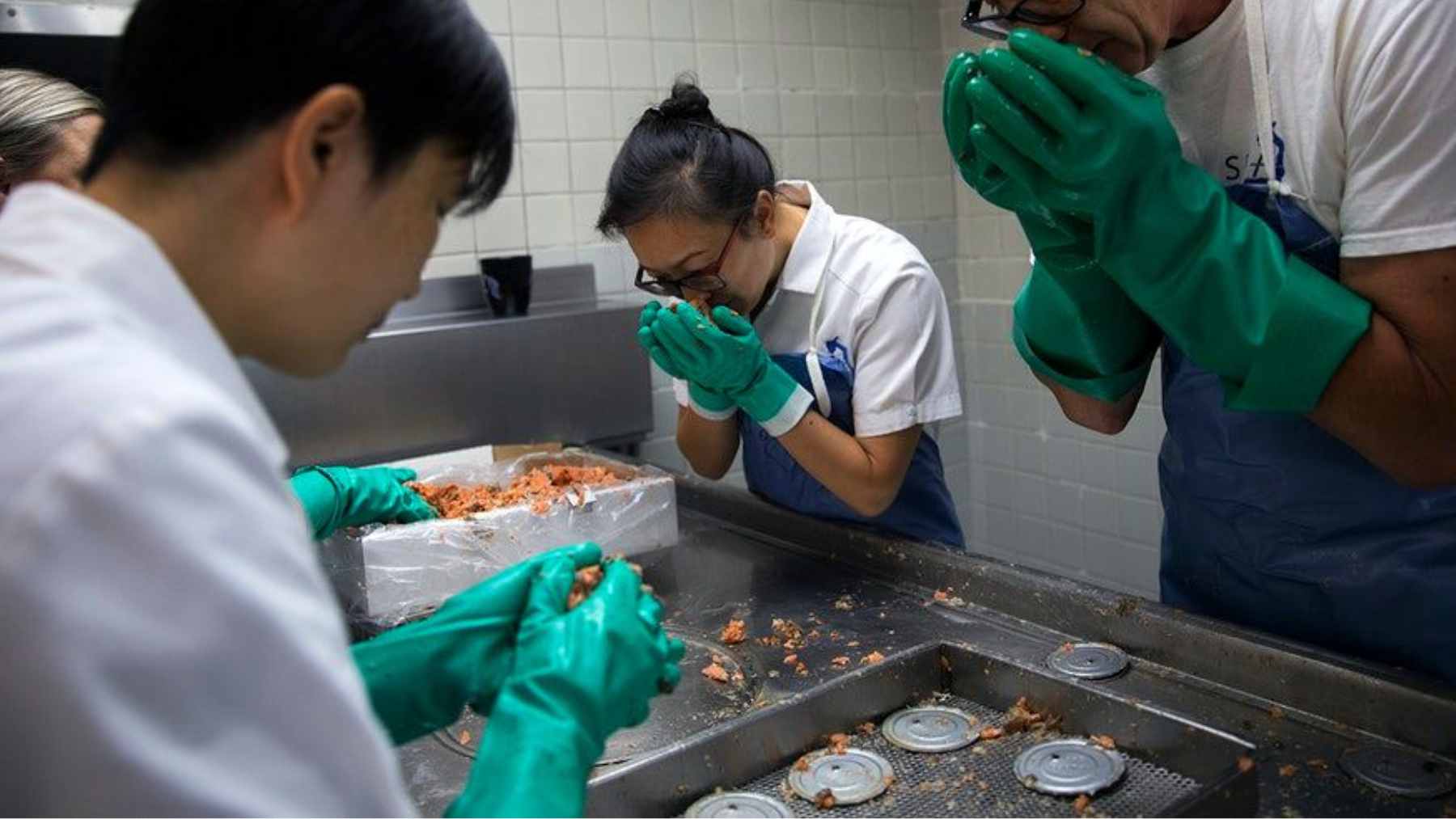 Researchers opened decades-old canned salmon from Alaska and found a hidden ocean record inside, dead anisakid worms that let them track food web change over 42 years, with parasite counts rising in chum and pink salmon but staying flat in coho and sockeye 1 A cross-section of a canned salmon fillet showing preserved anisakid worms extracted for scientific study.