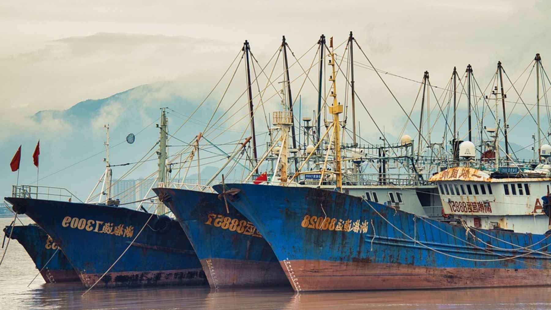 Chinese industrial fishing vessels docked as Senegal faces a deepening fisheries collapse linked to foreign fleets.