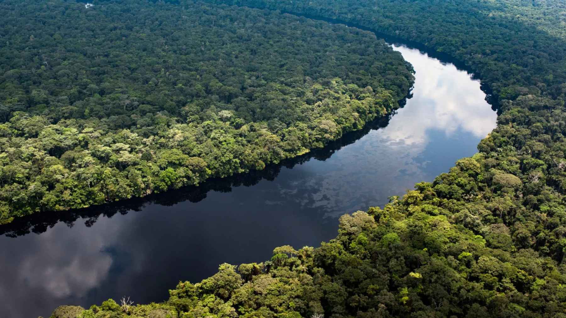 Dark tropical lake in the Congo Basin releasing ancient carbon from surrounding peatlands