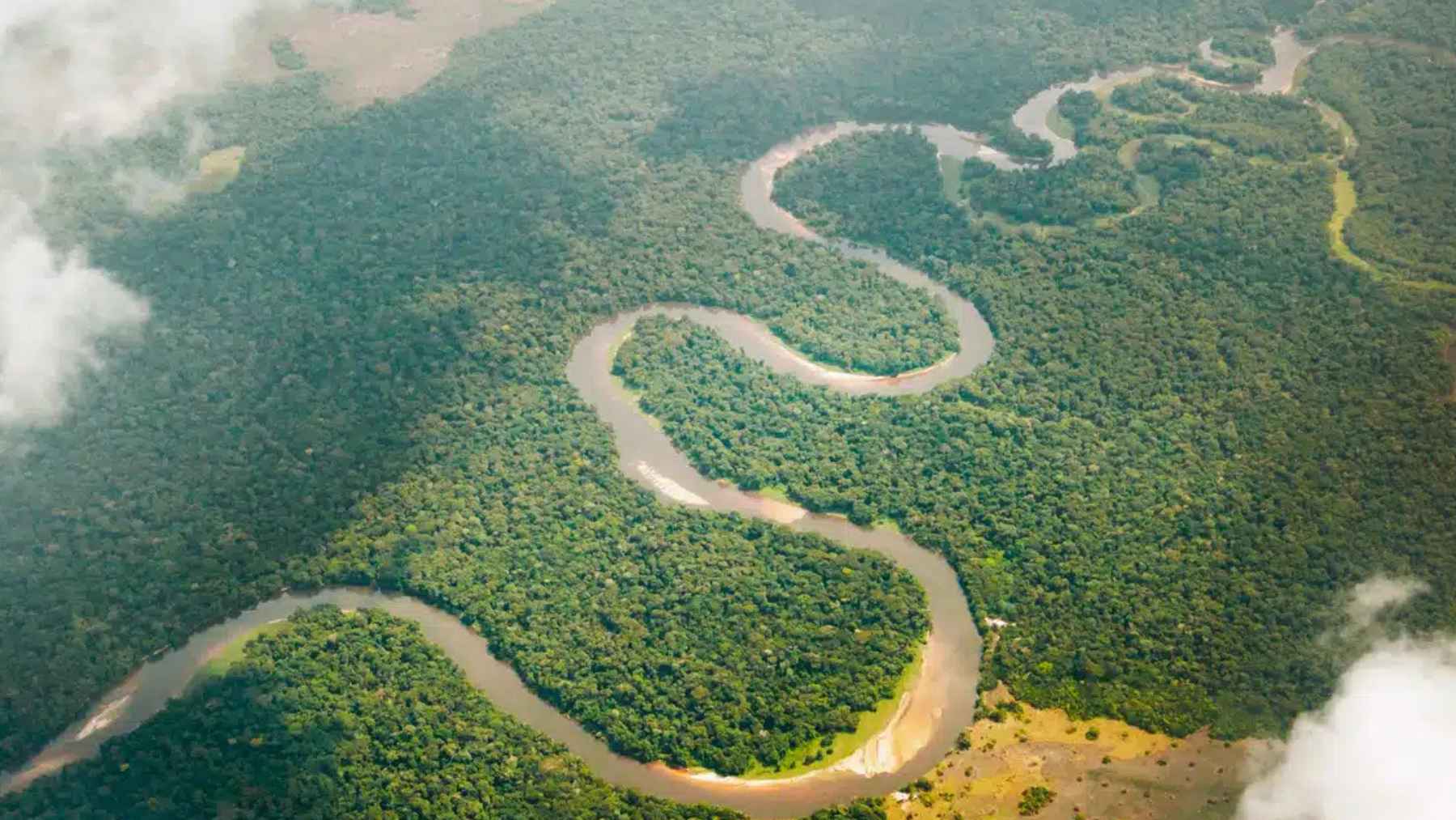 Lakes along the Congo River are releasing tons of “ancient carbon”: the numbers are alarming, and the reason is more disturbing than it seems 1 Aerial view of the Congo River and surrounding tropical peatland forests linked to ancient carbon emissions