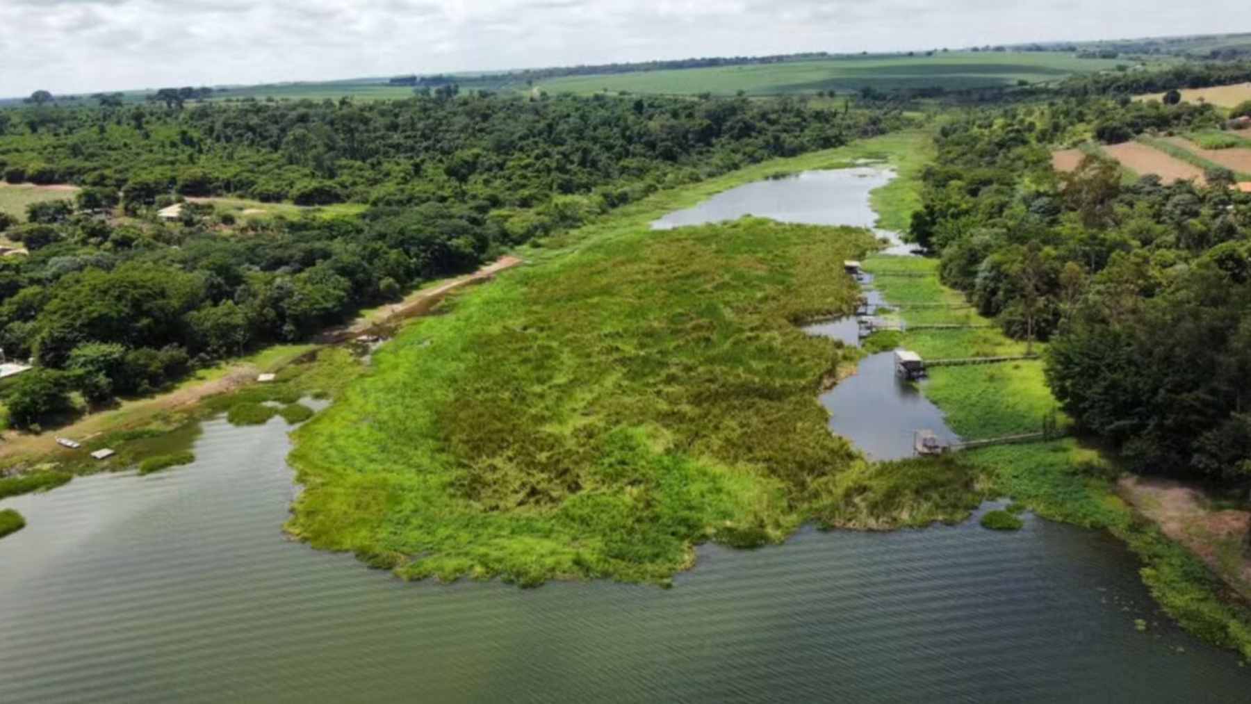 Giant aquatic plants blanket the Dourados River in Lins, block boats, and wreck docks, while 400+ inspections and about $2.7 million in fines spotlight a fast-moving water-quality crisis 1 A dense mat of green macrophytes choking the surface of the Dourados River near a bridge in Lins, Brazil.