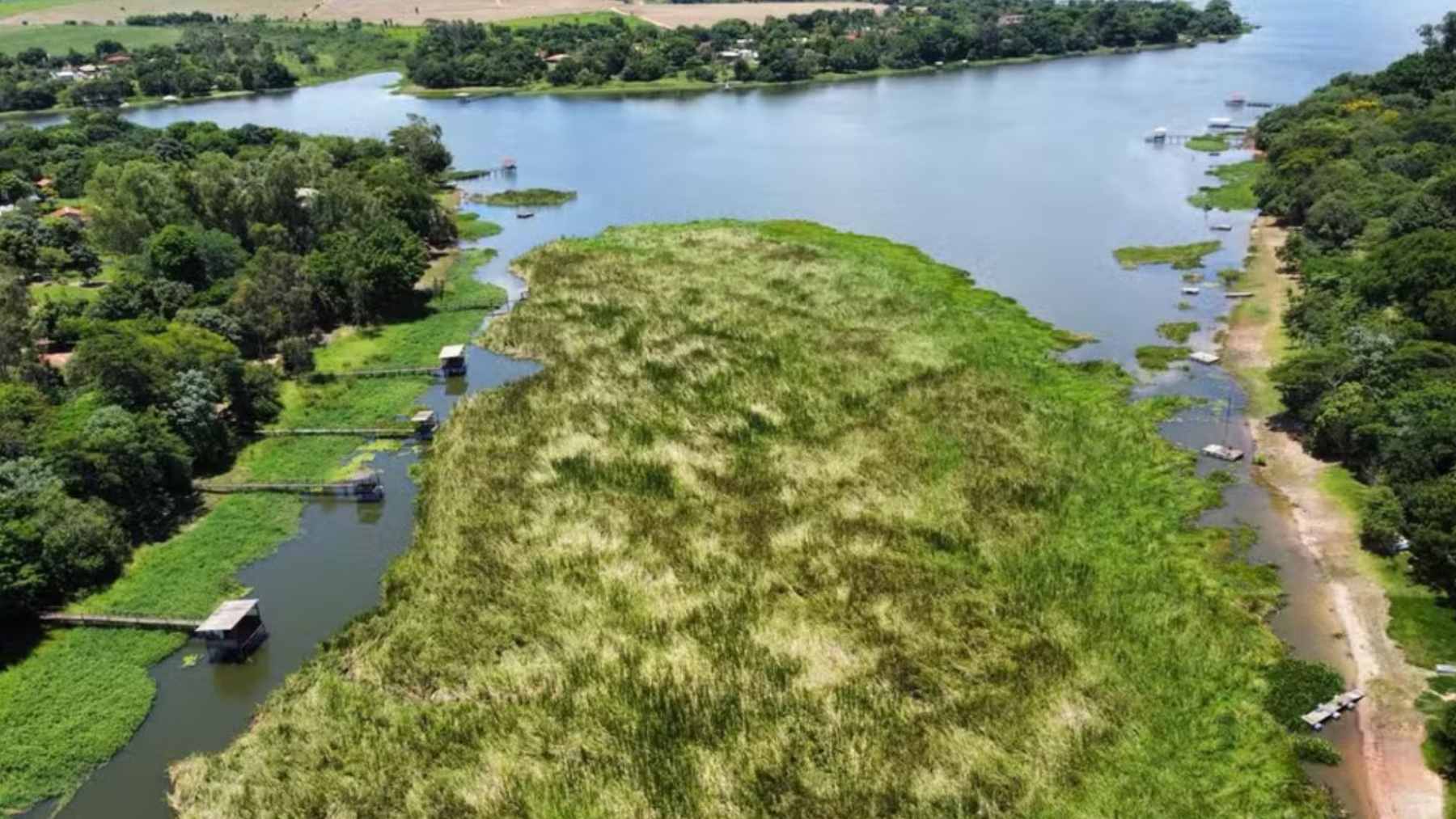 ECOnews 1 A dense mat of green macrophytes choking the surface of the Dourados River near a bridge in Lins, Brazil.