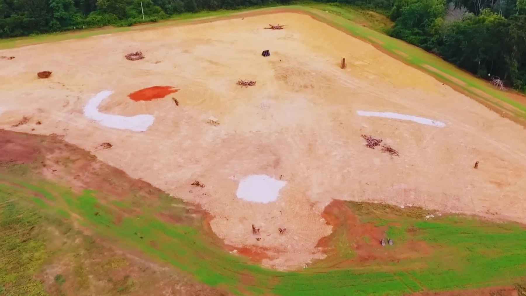 Artificial lake on farmland attracting wildlife including bald eagles, ducks, deer, and fish
