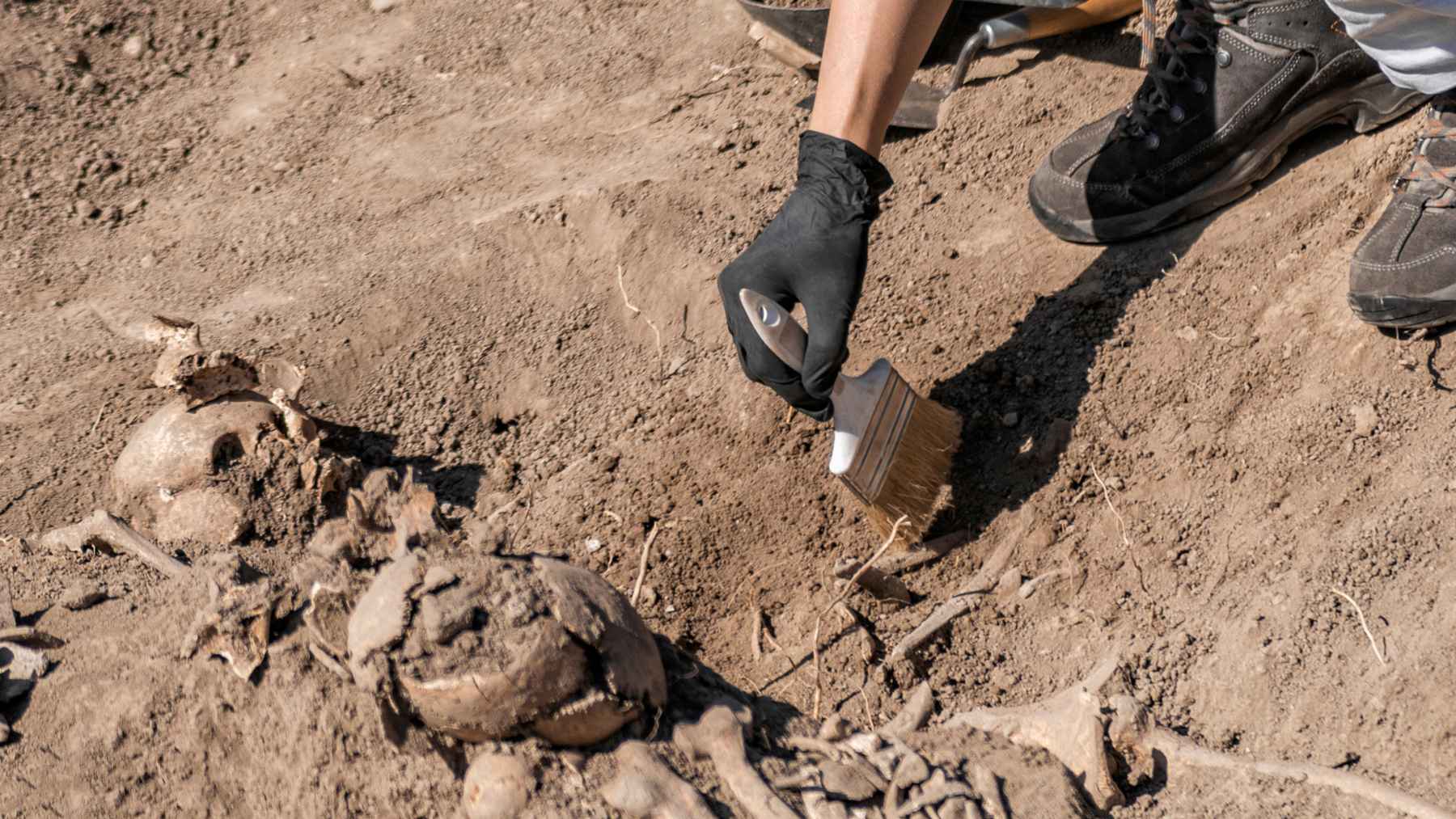 Archaeological excavation revealing human skeletons and burial vaults beneath a former department store in Gloucester