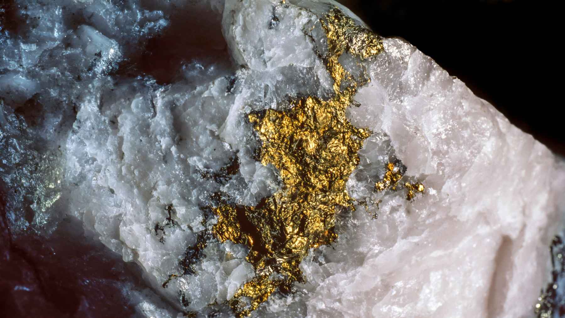 Gold vein trapped inside a white quartz rock, showing a natural gold-bearing mineral formation.