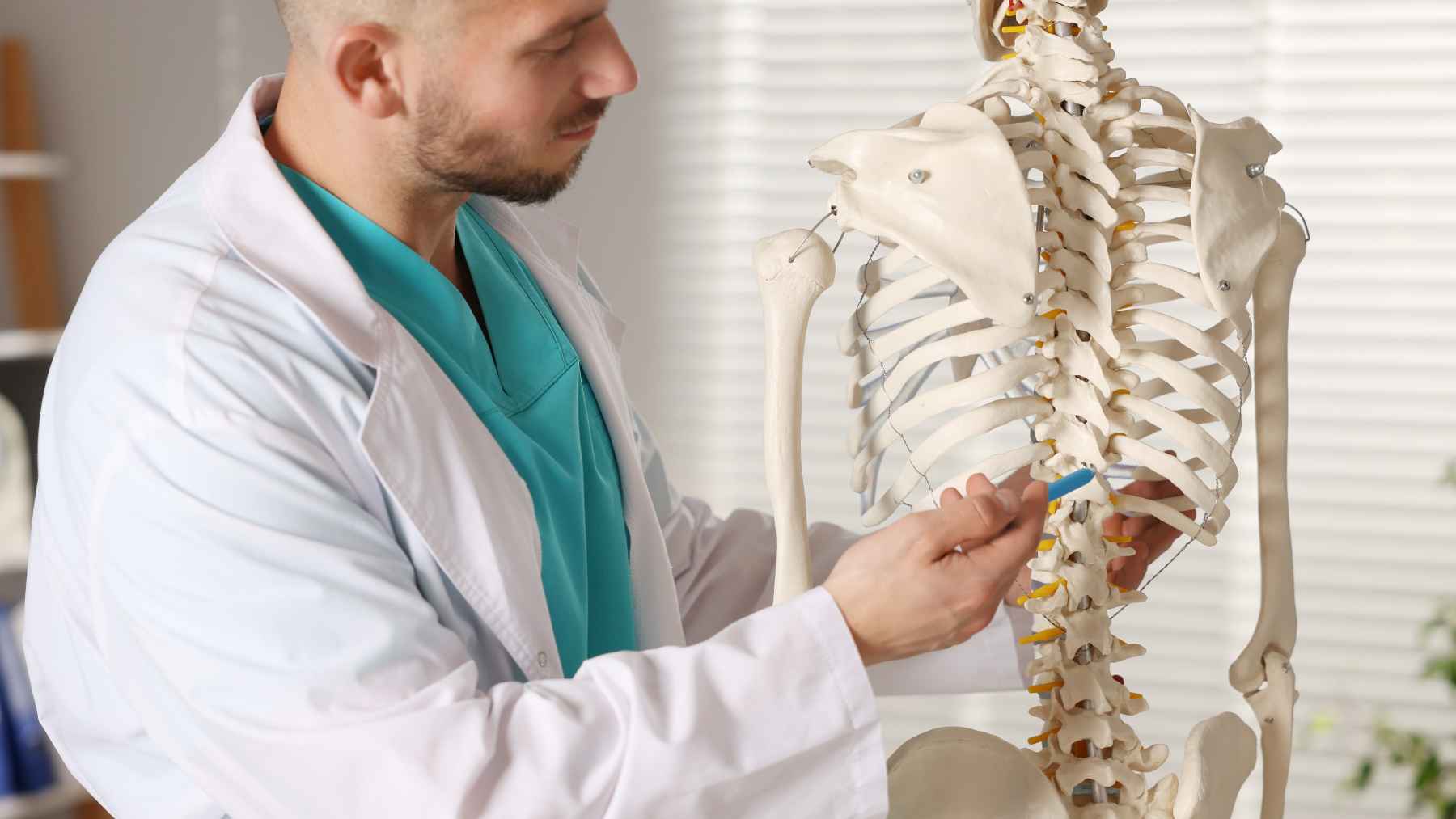 Bone cell research linked to the GPR133 receptor and experimental osteoporosis treatment studies
