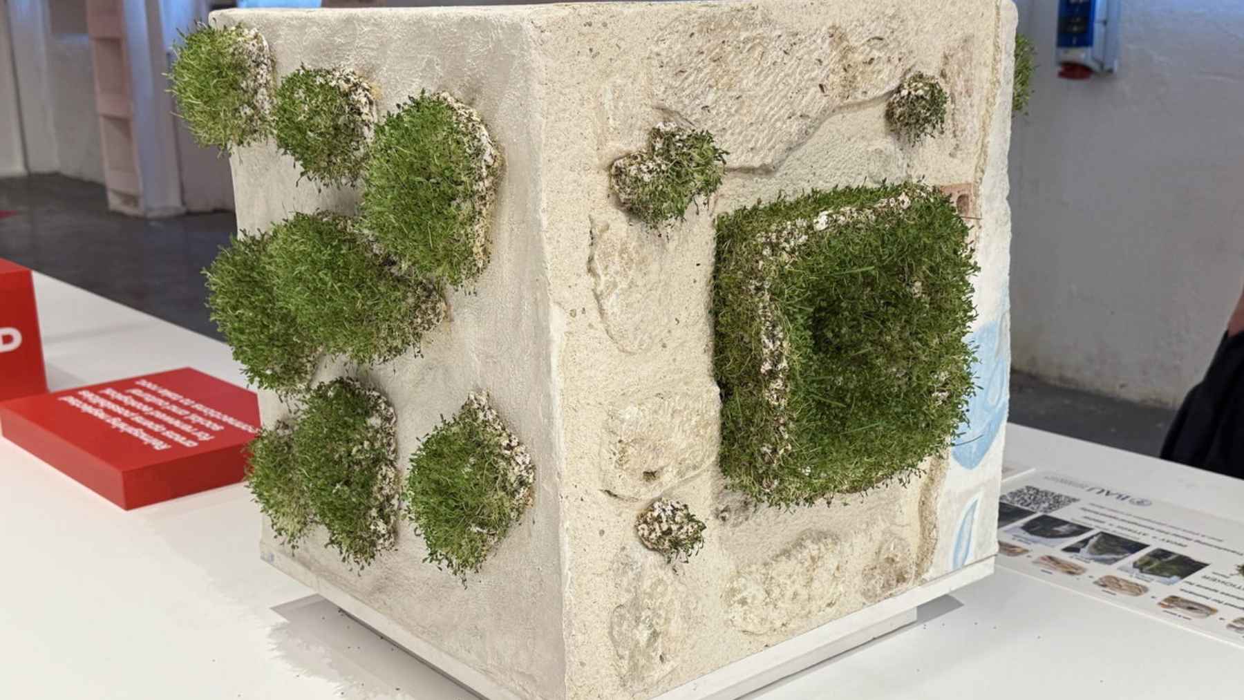 Green Anarchy biodegradable plant patches attached to a concrete wall prototype during a sustainable design exhibition