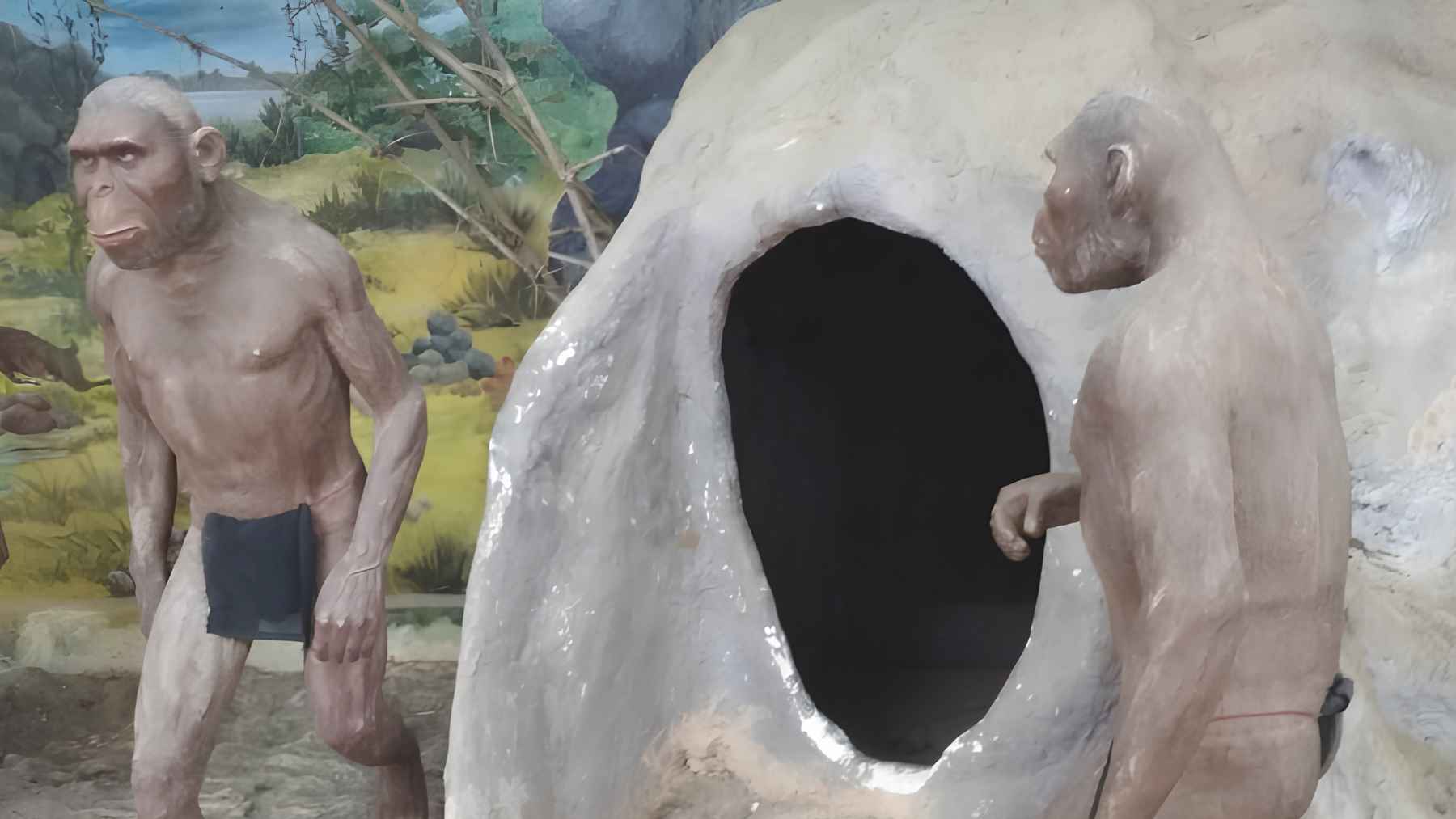 Reconstruction of early Homo sapiens linked to new African origin and climate evolution research
