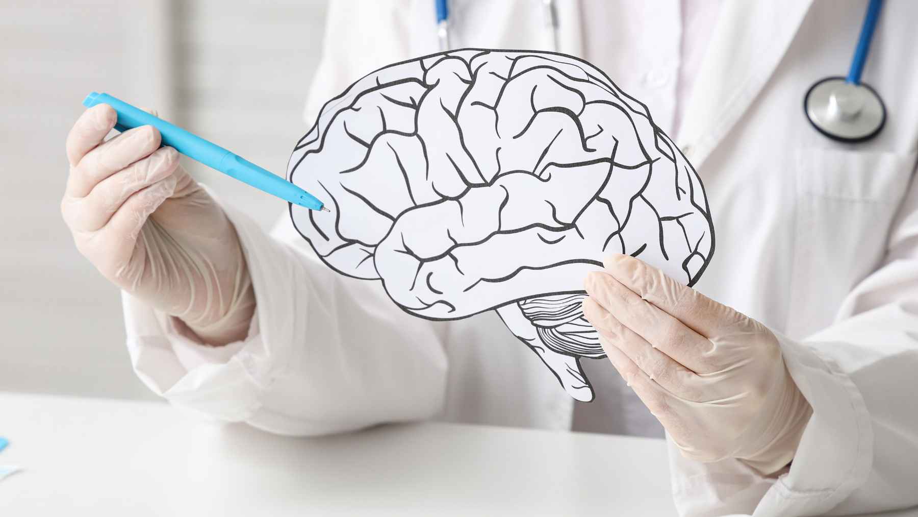 Brain connectivity scan illustrating structural development stages across the human lifespan