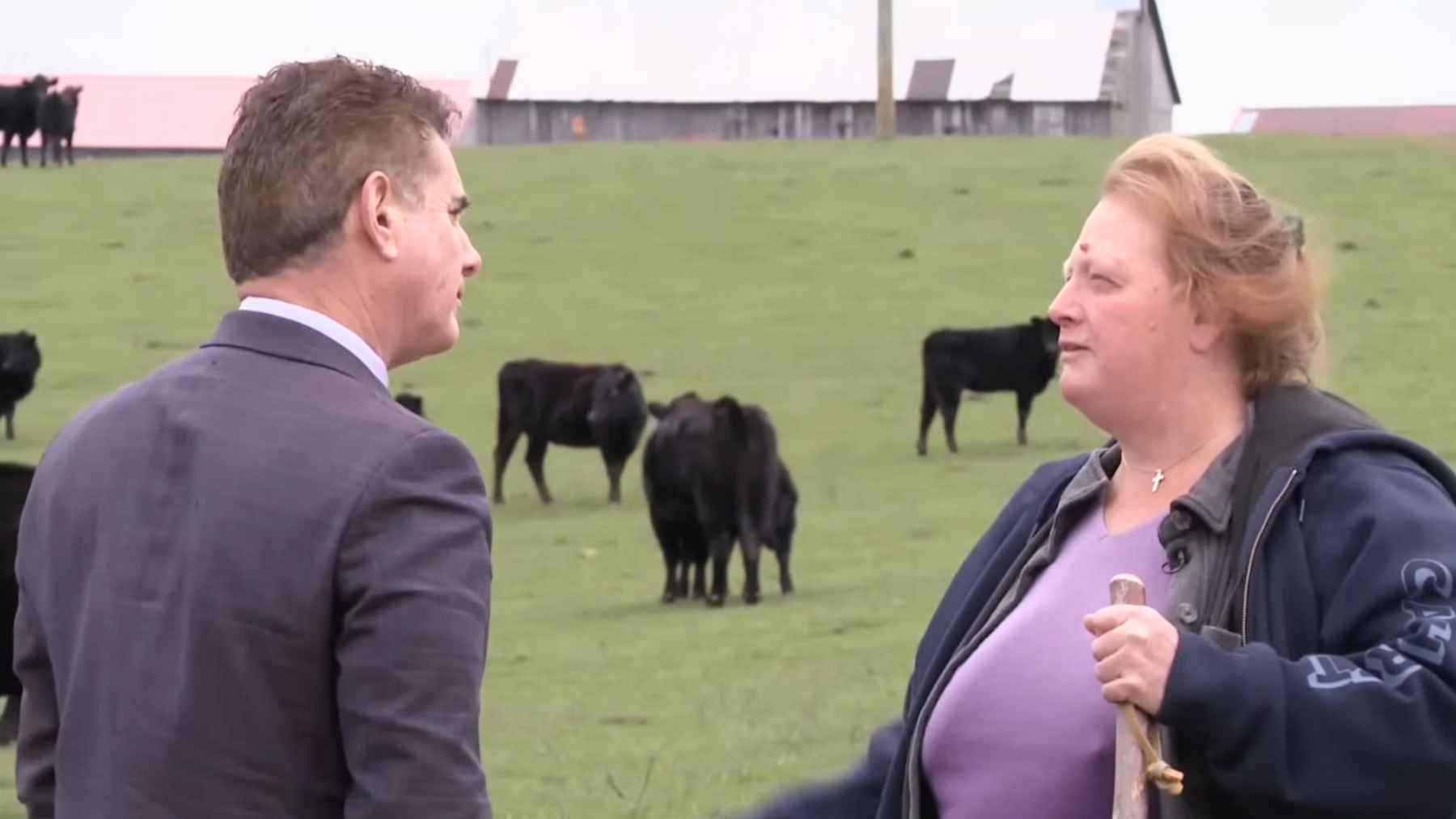 Reporter standing near cattle on Kentucky farmland connected to a proposed data center project near Maysville.