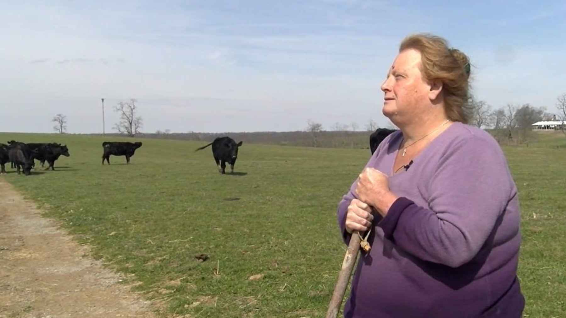 A mother and daughter near Maysville turned down $26 million to sell farmland for a data center, and their blunt reason is that feeding the country matters more than a tech buyer paying roughly 10 times the land’s farm value 1 Delsia Bare stands on Kentucky farmland involved in a dispute over a proposed data center near Maysville.