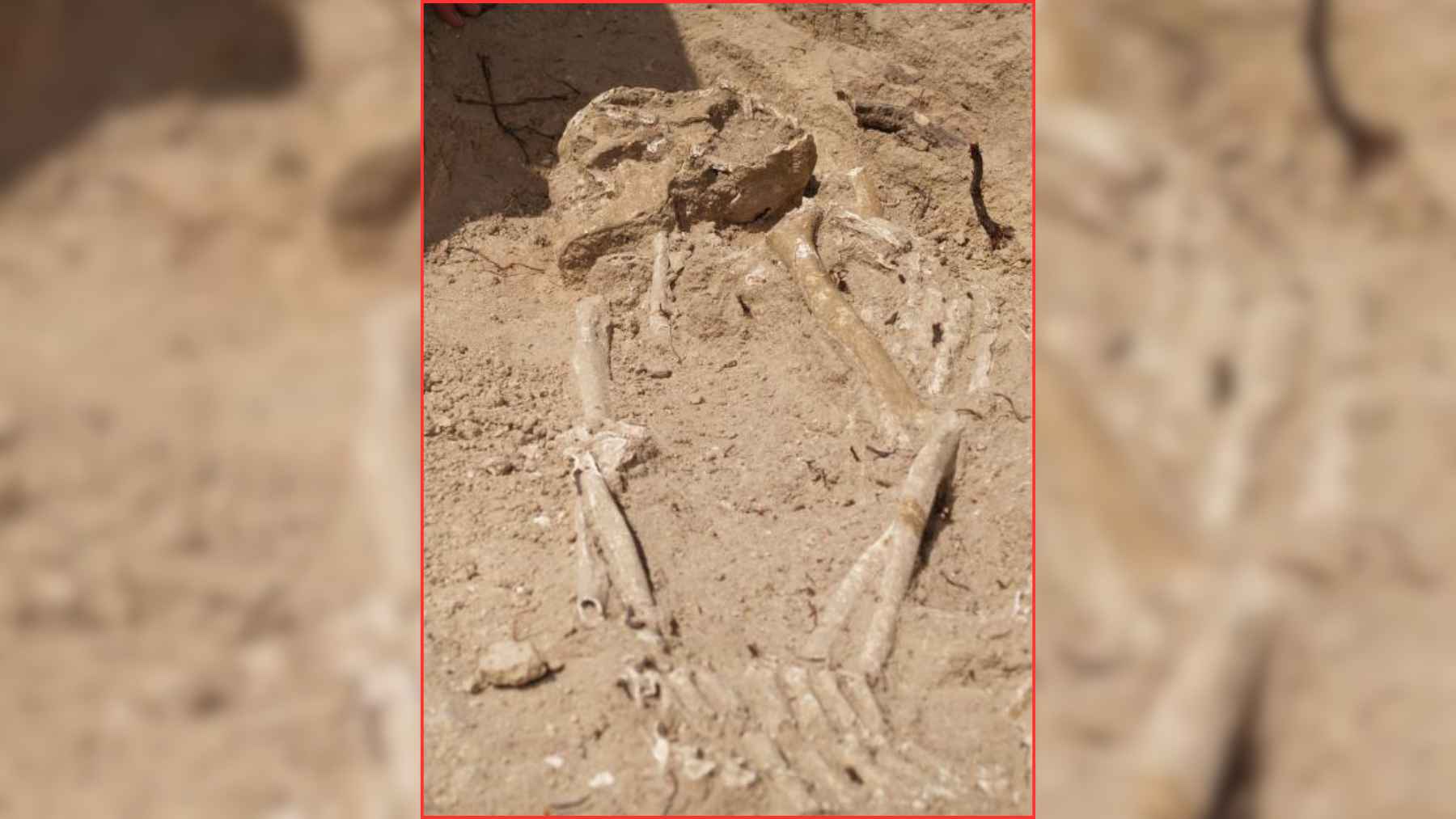 Medieval human remains excavated near the Dolmen of Menga in southern Spain for ancient DNA research.
