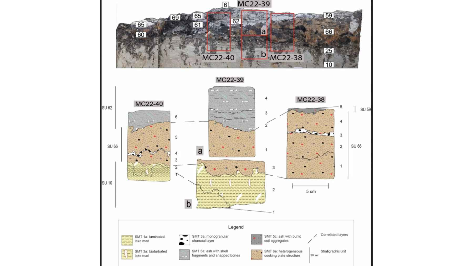 Neolithic life under the microscope: cooking, cleaning, and taking out the trash weren’t “minor chores”… they were the hidden engine of society (and now there’s proof) 1 Microscopic analysis of Neolithic soil layers showing ancient cooking and household activity in Italy