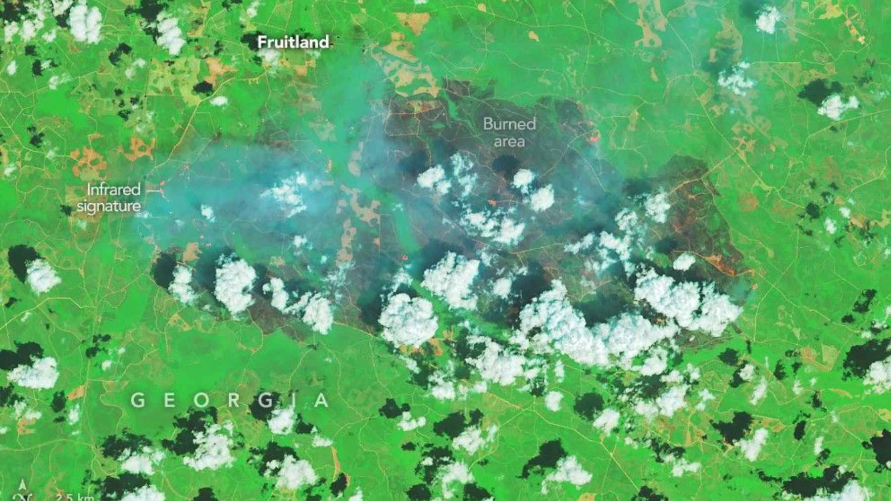 False-color NASA satellite image of the Pineland Road fire near Fruitland, Georgia, showing the burned area and infrared heat signature.