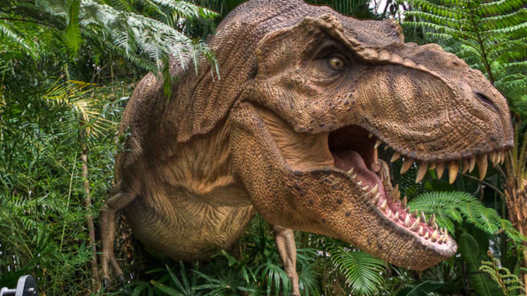 Scientifically updated dinosaur reconstruction inspired by new research on feathers, lips, and behavior
