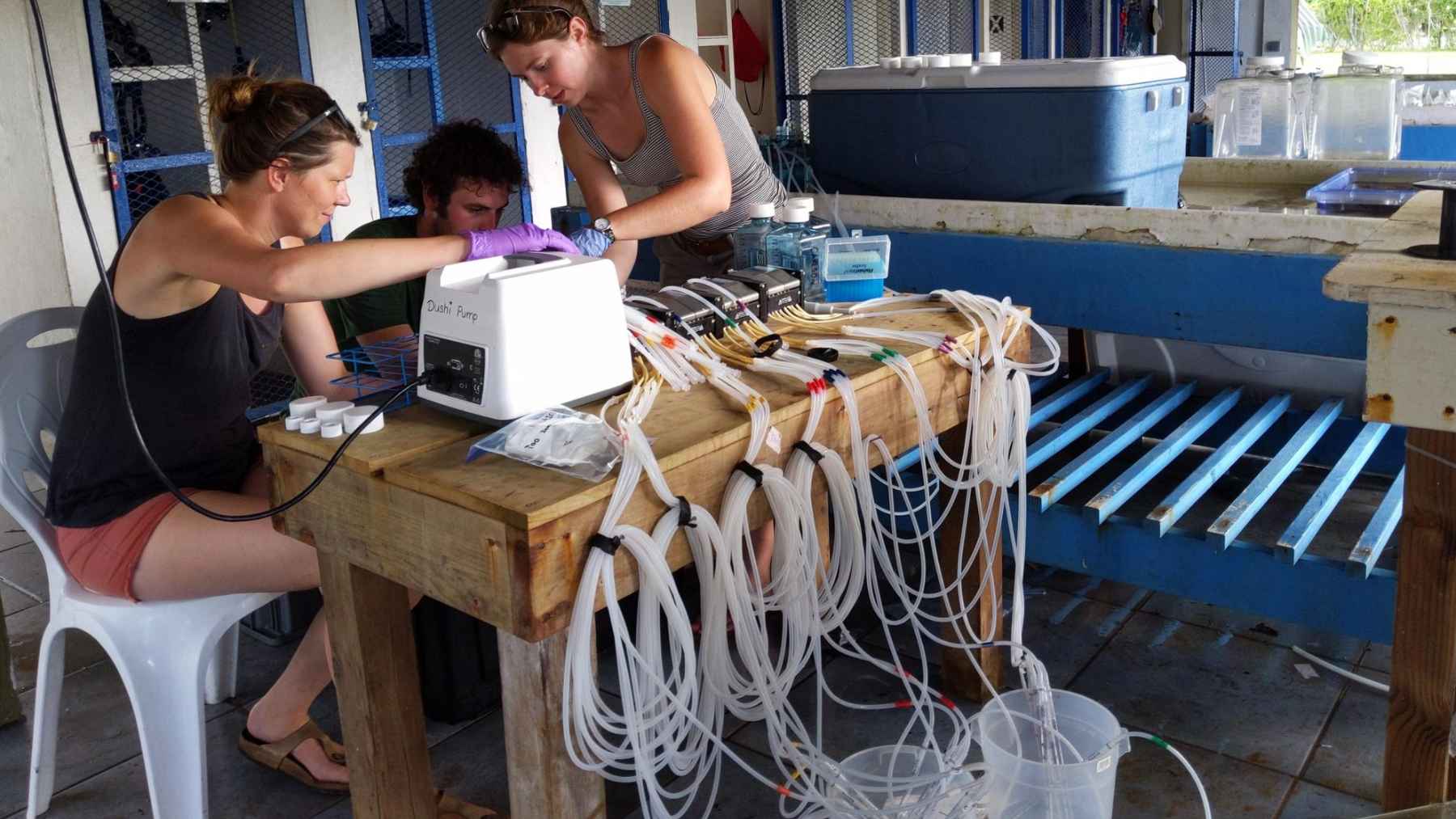 ECOnews 1 Scientists collecting and analyzing seawater samples during a global marine pollution research study