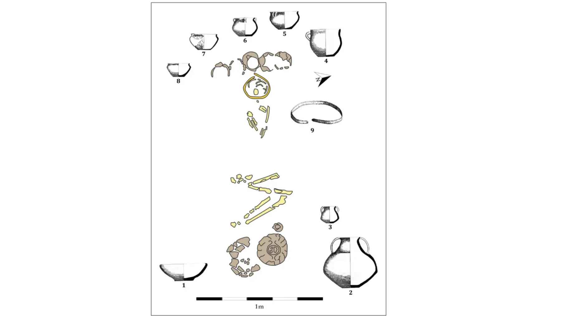 Serbia: a 4,600-year-old tomb with a gold diadem and three teeth is discovered… and that combination is disrupting the Bronze Age timeline 1 Diagram of a Bronze Age burial in Serbia showing pottery, skeletal remains, and a gold diadem arrangement