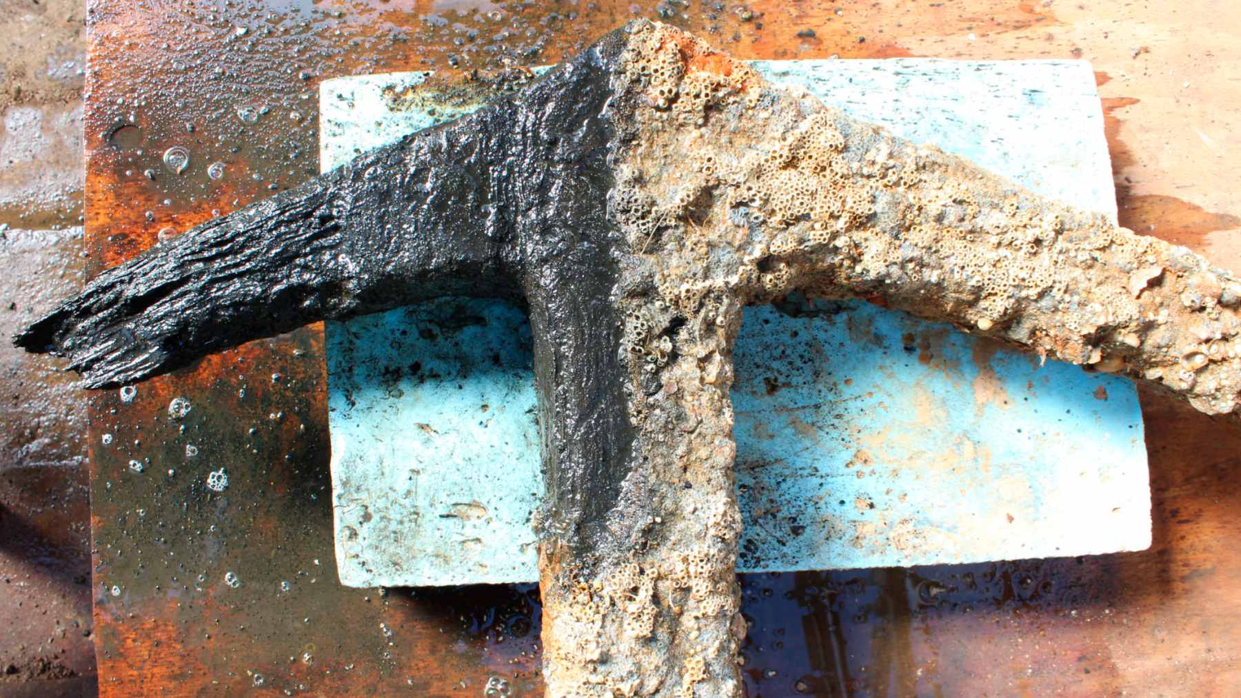 A well-preserved heavy iron anchor recovered from the seabed during construction of the East Anglia ONE offshore wind farm.