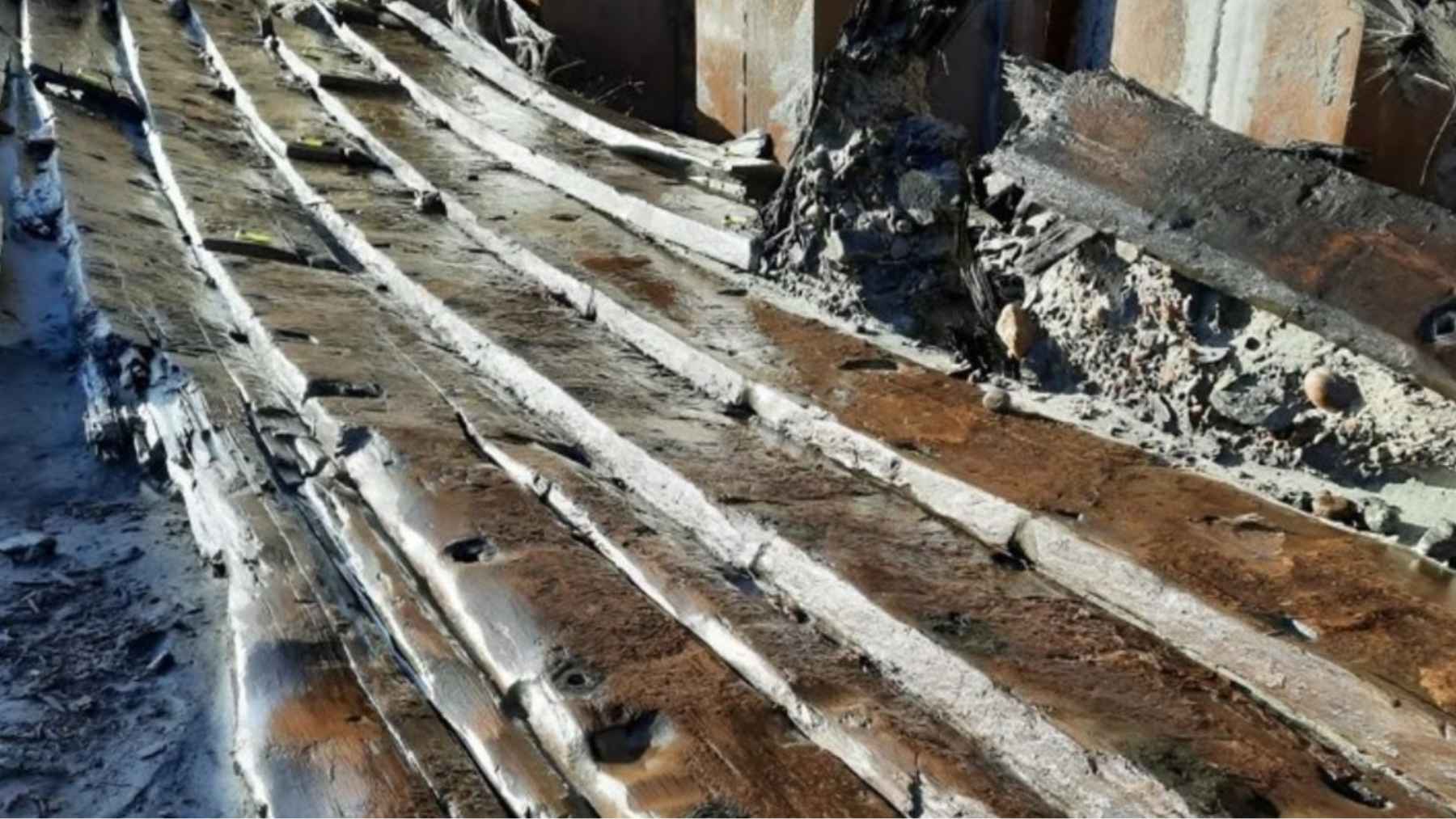 Archaeologist examining a centuries-old wooden shipwreck uncovered during construction work in Sweden