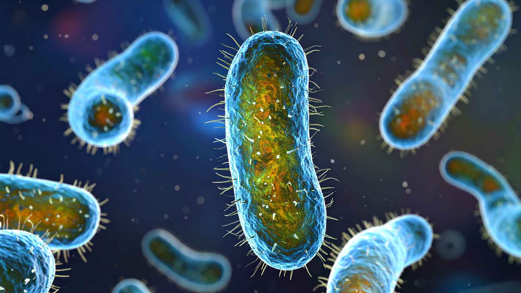Blue rod-shaped bacteria floating in a dark microscopic scene, representing synthetic mirror bacteria research.