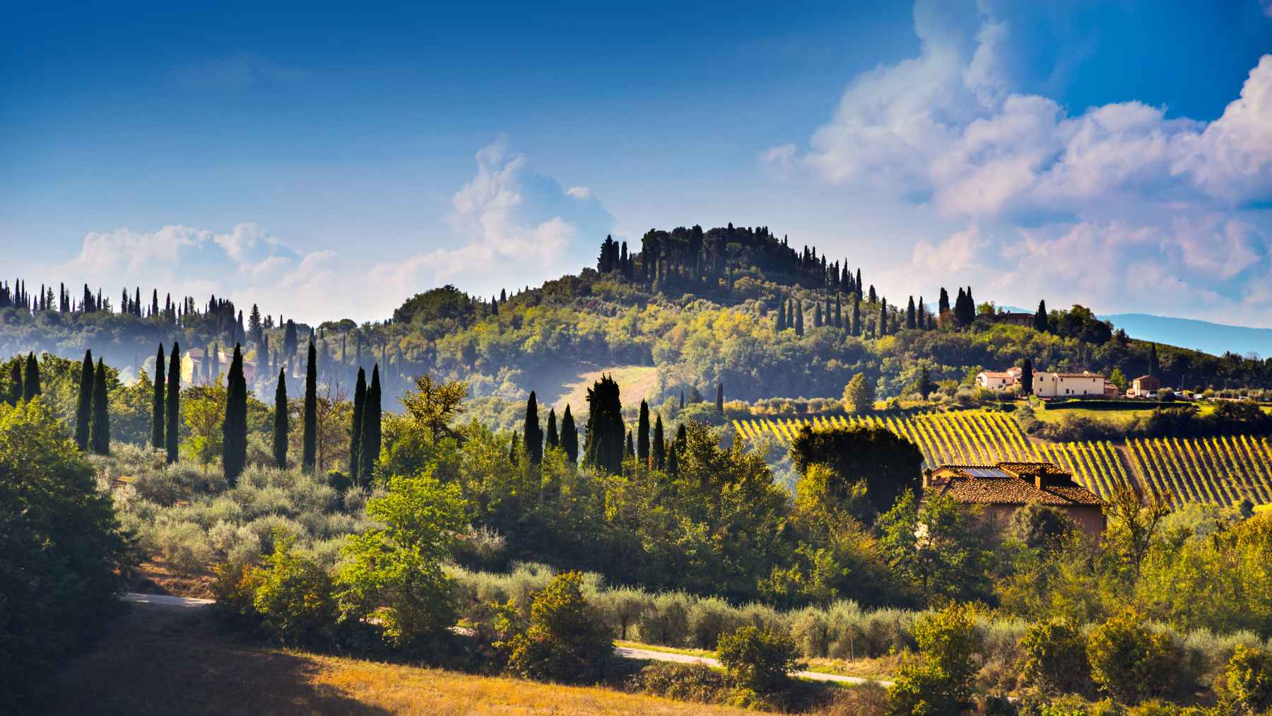 Tuscan hills with vineyards, cypress trees, and countryside homes under a bright sky.