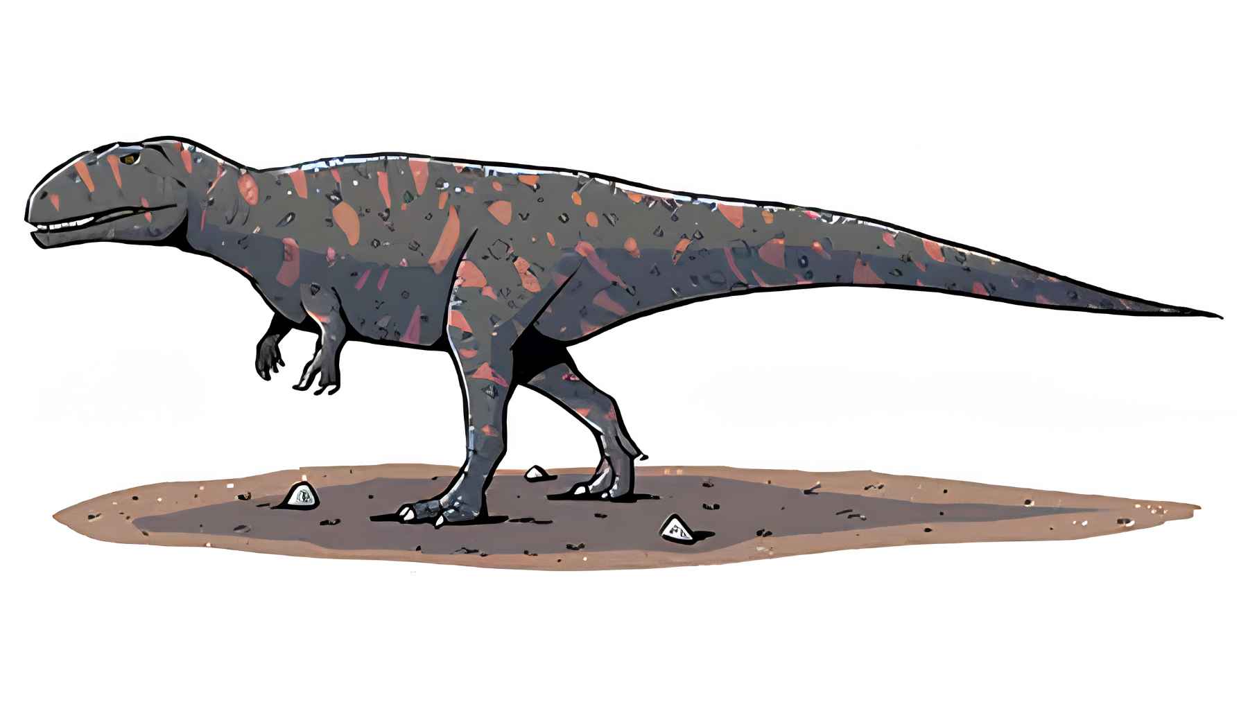 Do not be fooled by Jurassic Park: a new look at dinosaurs suggests the animals we imagine may be much stranger than the monsters cinema gave us 1 Modern scientific reconstruction of a large predatory dinosaur based on updated fossil evidence